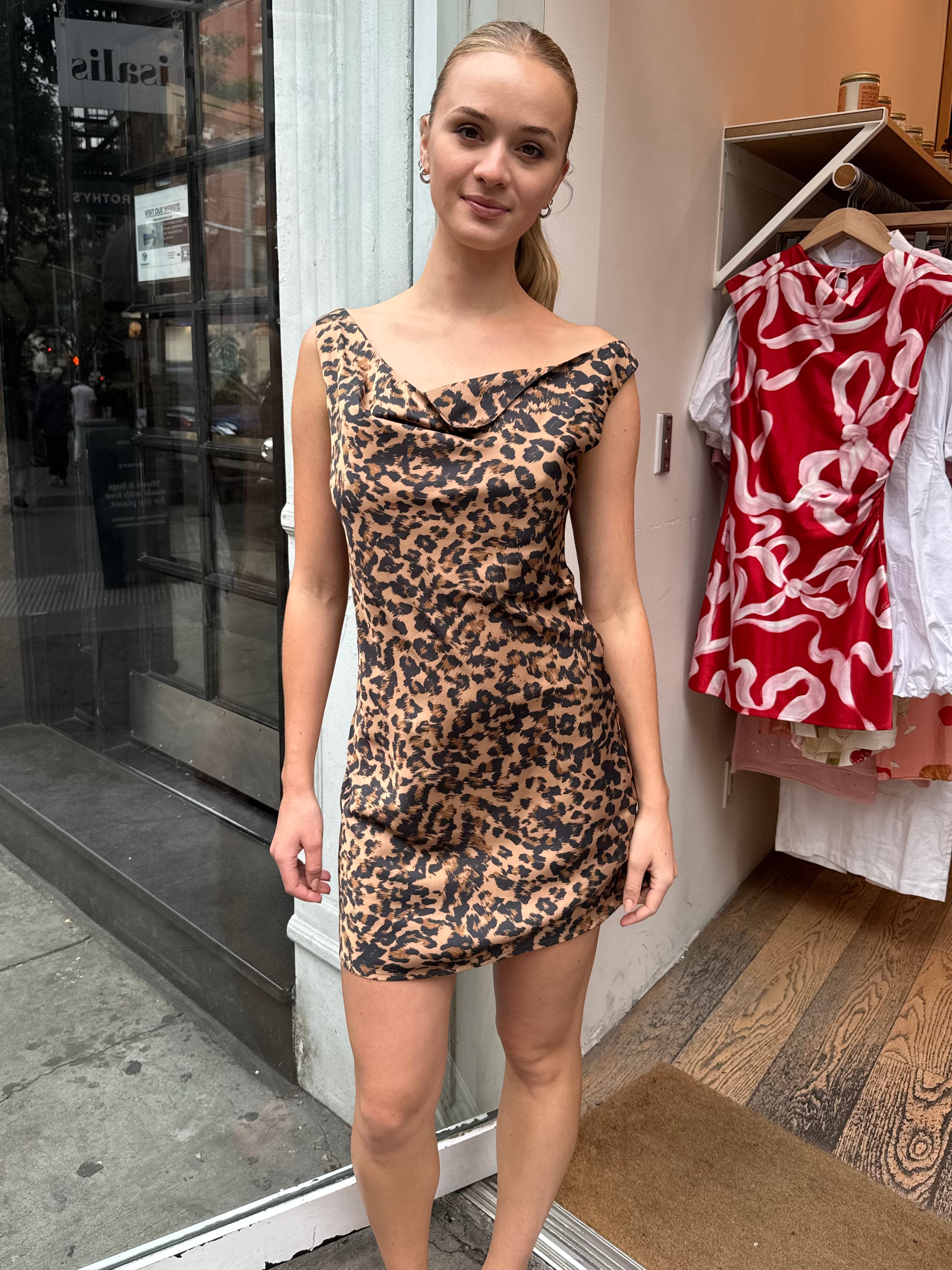 Aralise Dress in Leopard