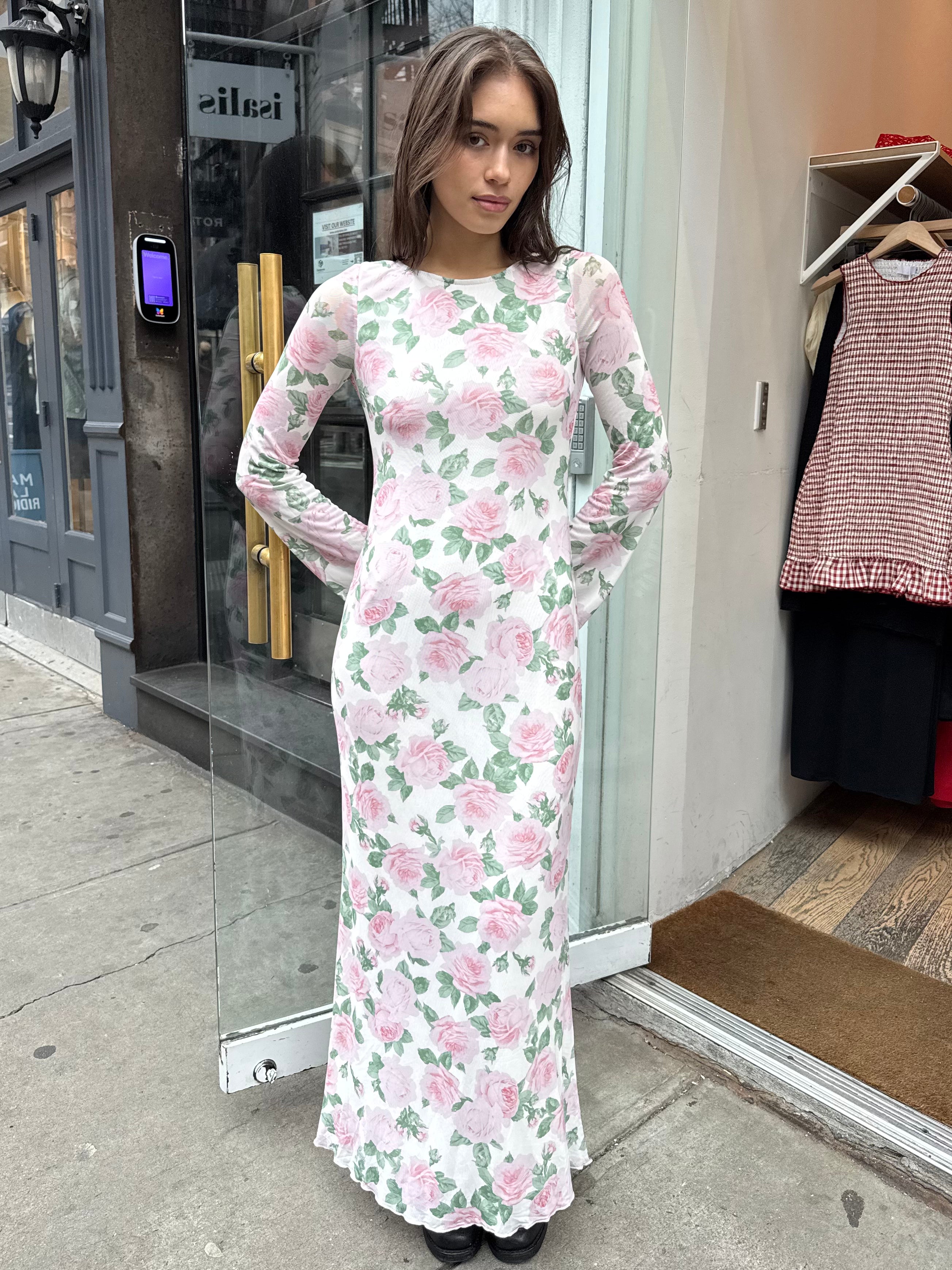 Bolinas Maxi Dress in Floral Light Pink