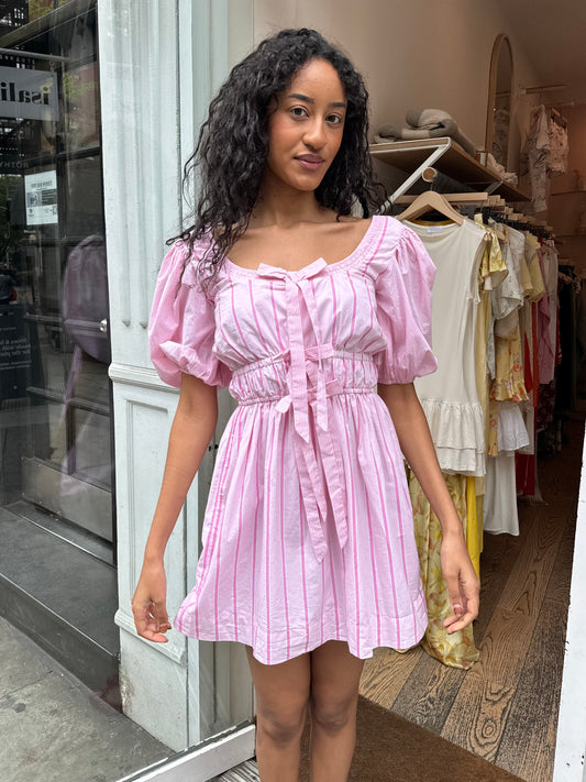 Amelie Mini Dress in Pink Stripe