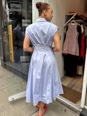 Beckett Dress in Blue