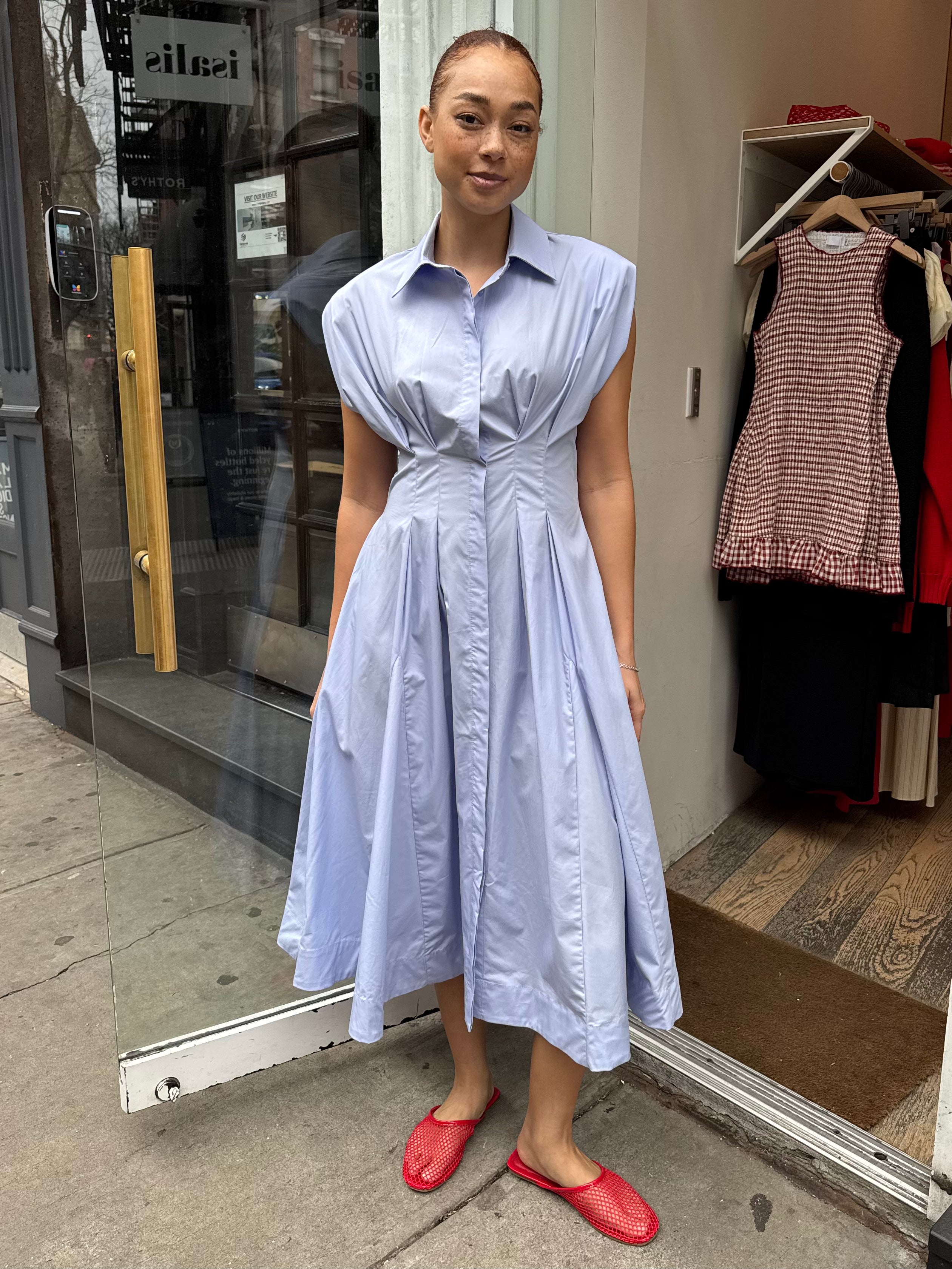 Beckett Dress in Blue