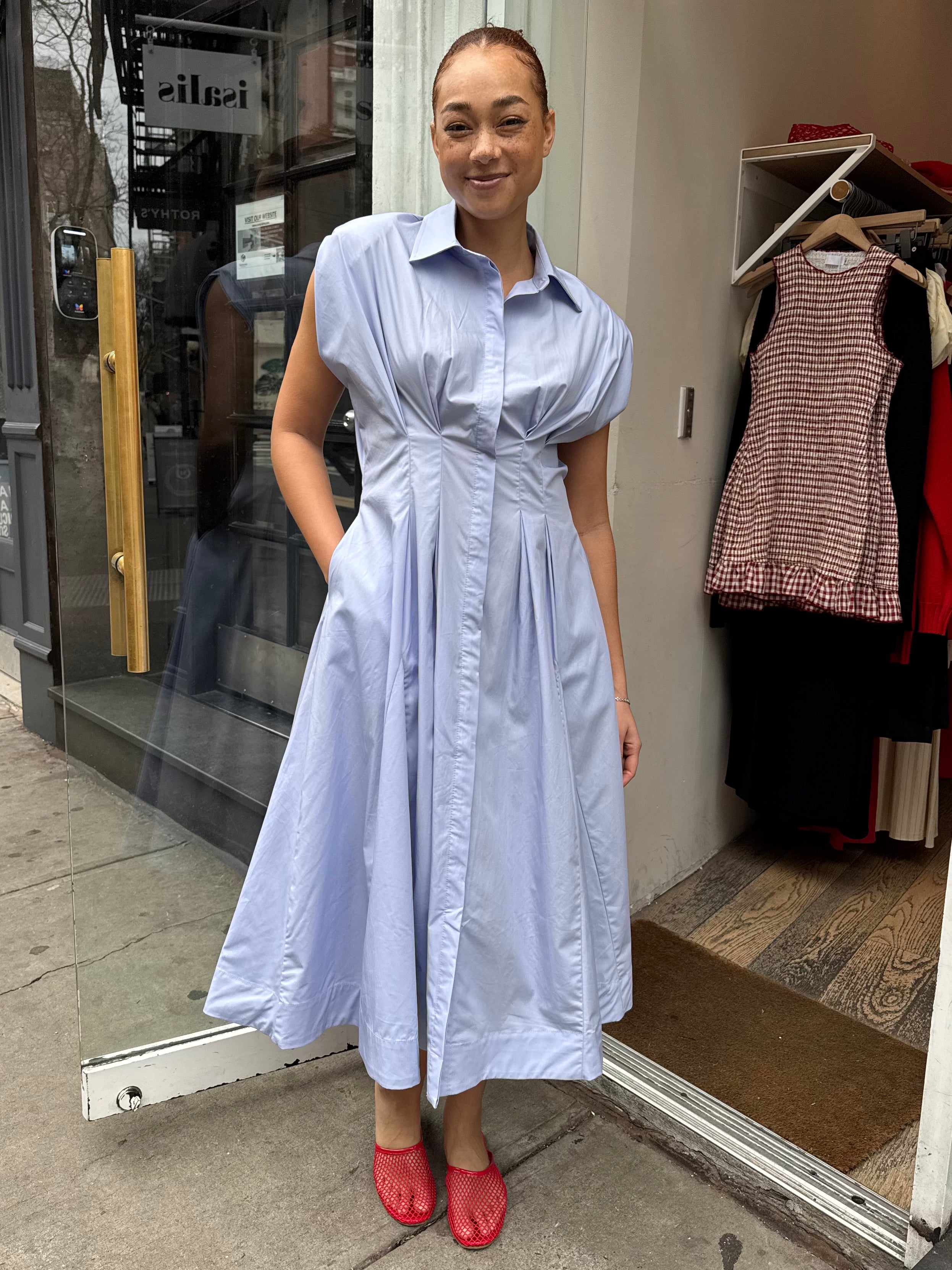 Beckett Dress in Blue