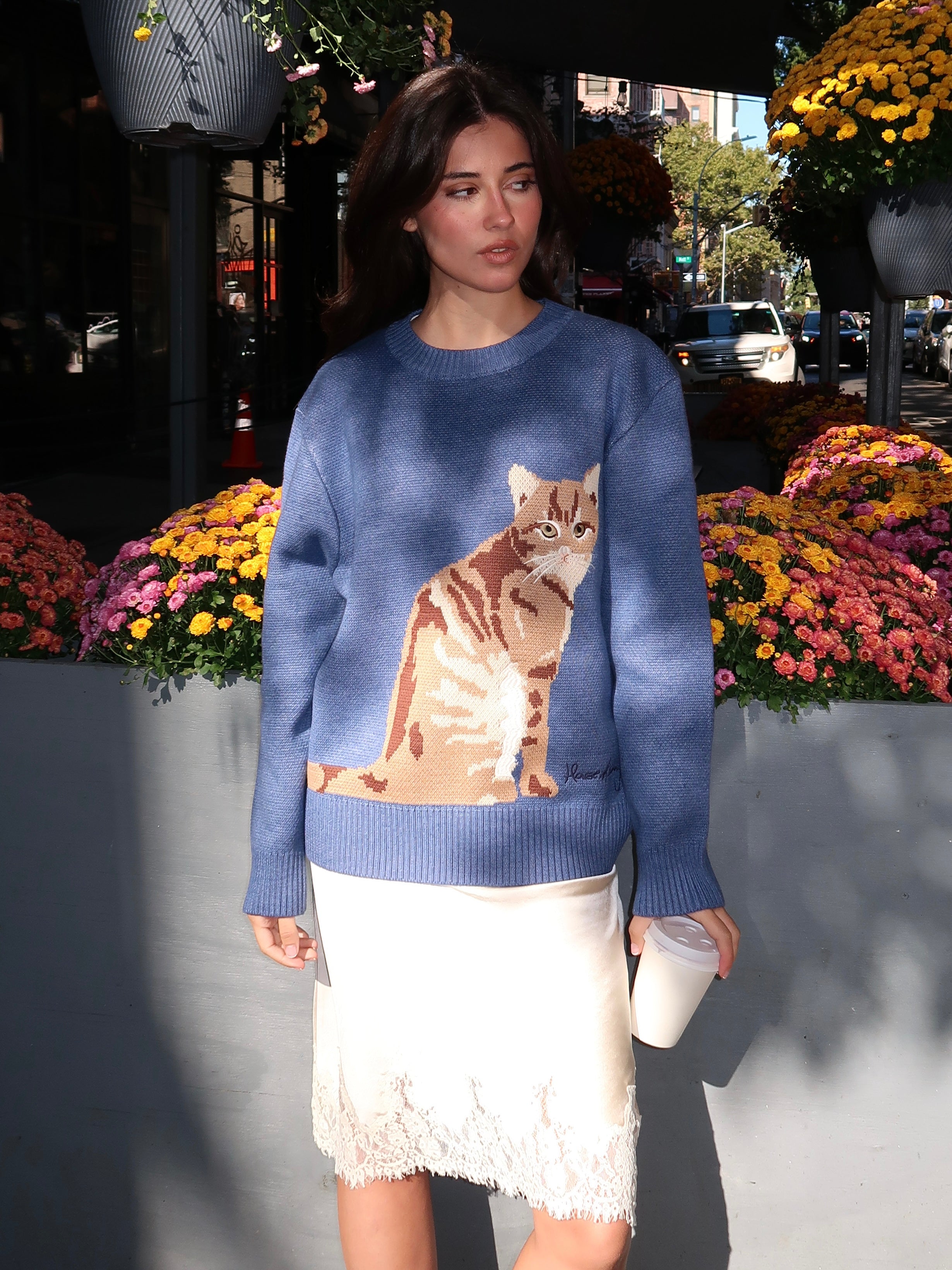 ニット/セーター treat urself Treat cat sweater Aelfric Eden Women's Pullover Sweater Hand Drawn Cat Graphic