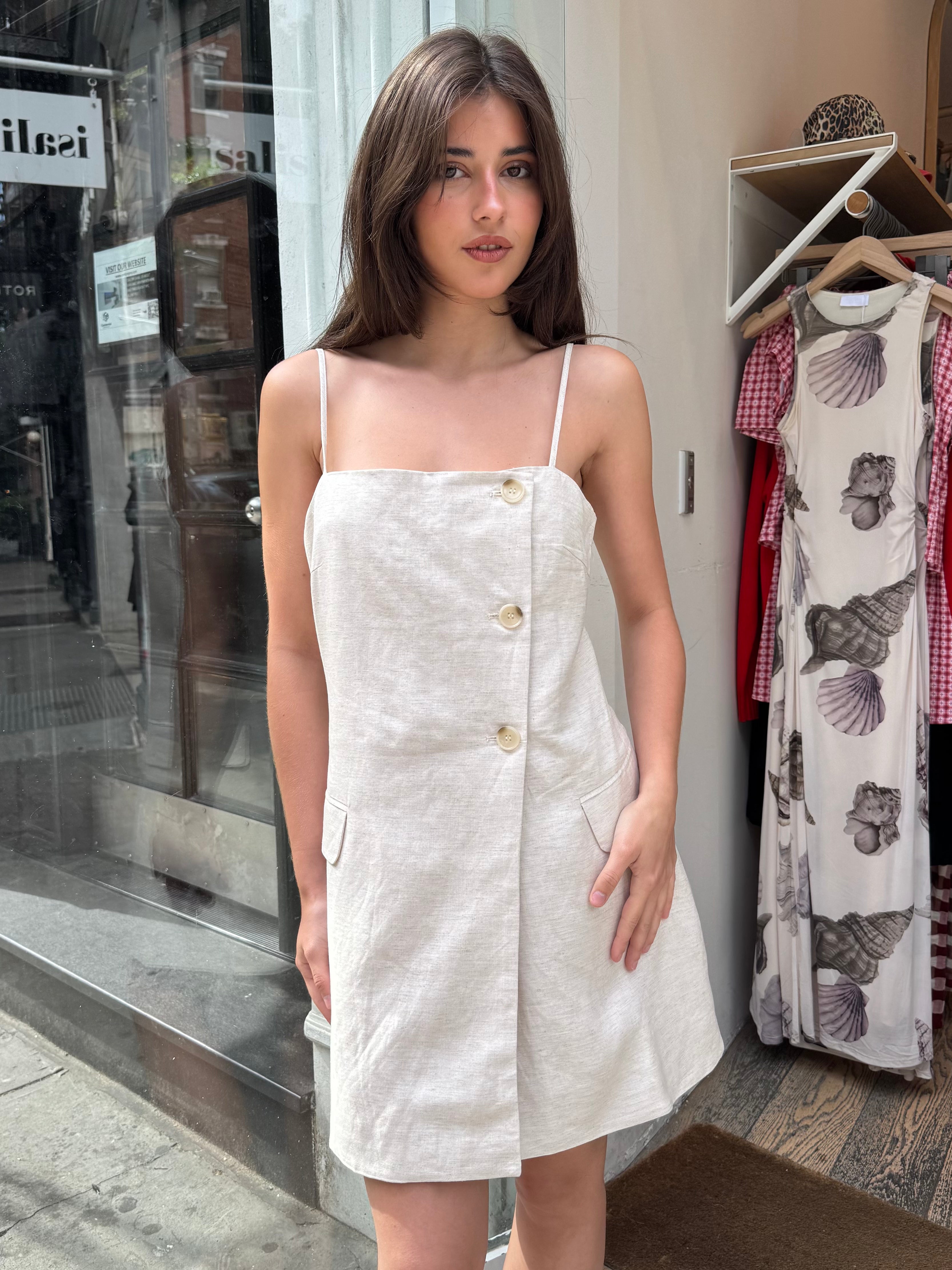 Azria Dress in Oatmeal