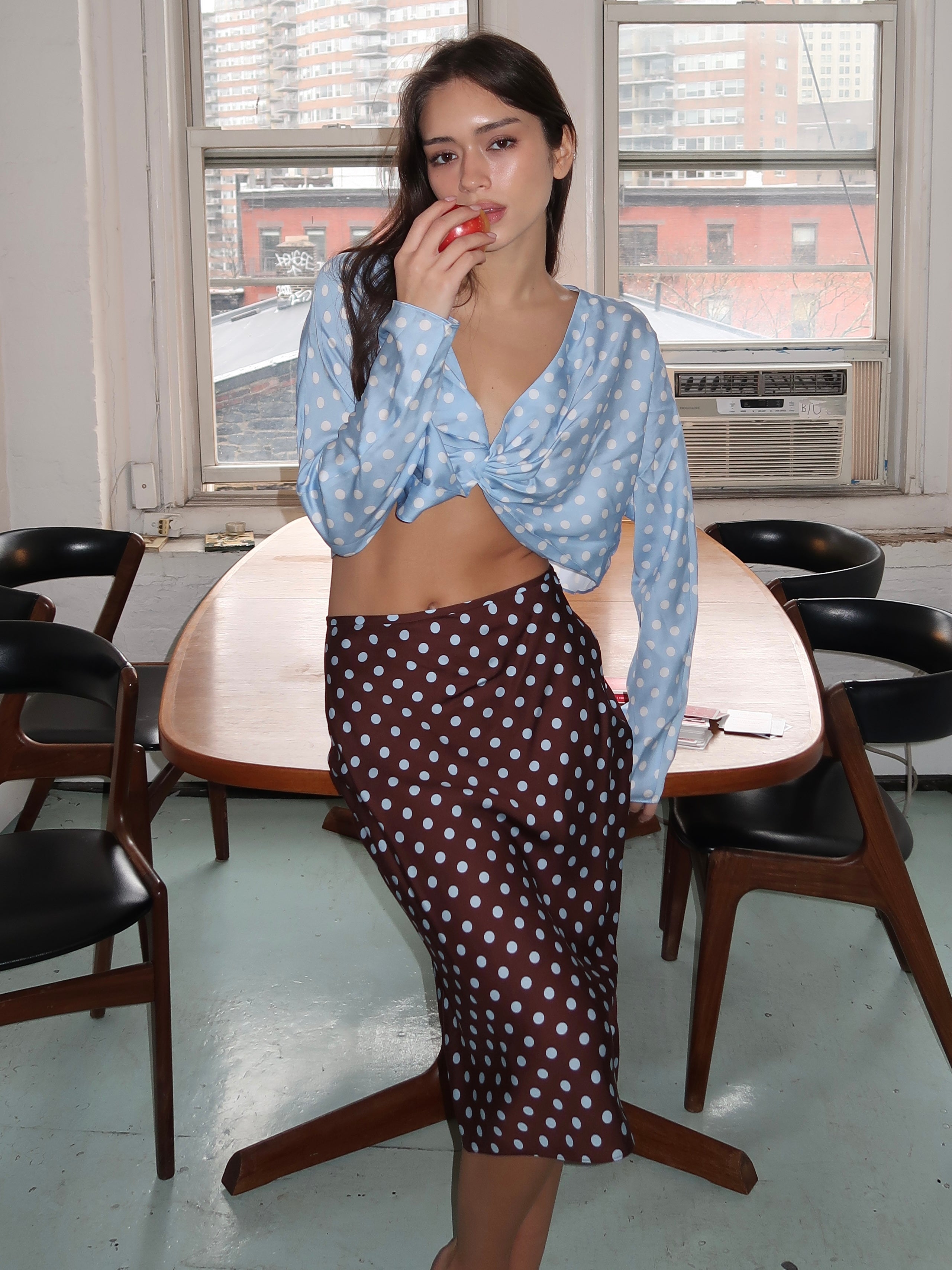 Leo Skirt in Chocolate Polka Dot