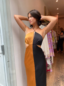 Alice Dress in Turmeric Splice