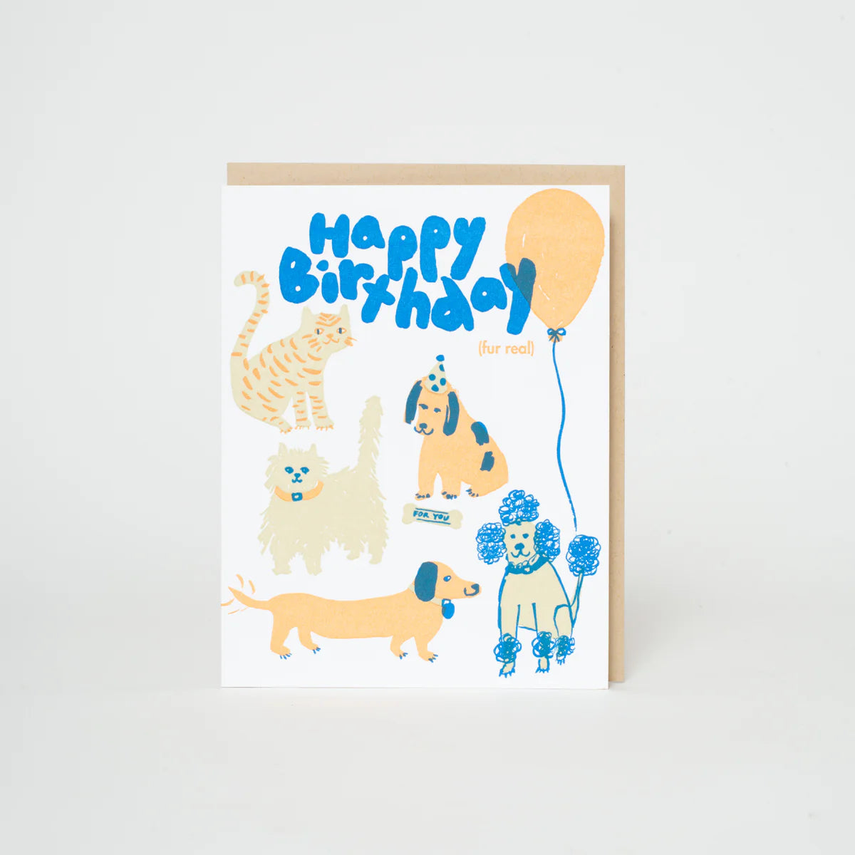 Birthday Dog & Cat Party