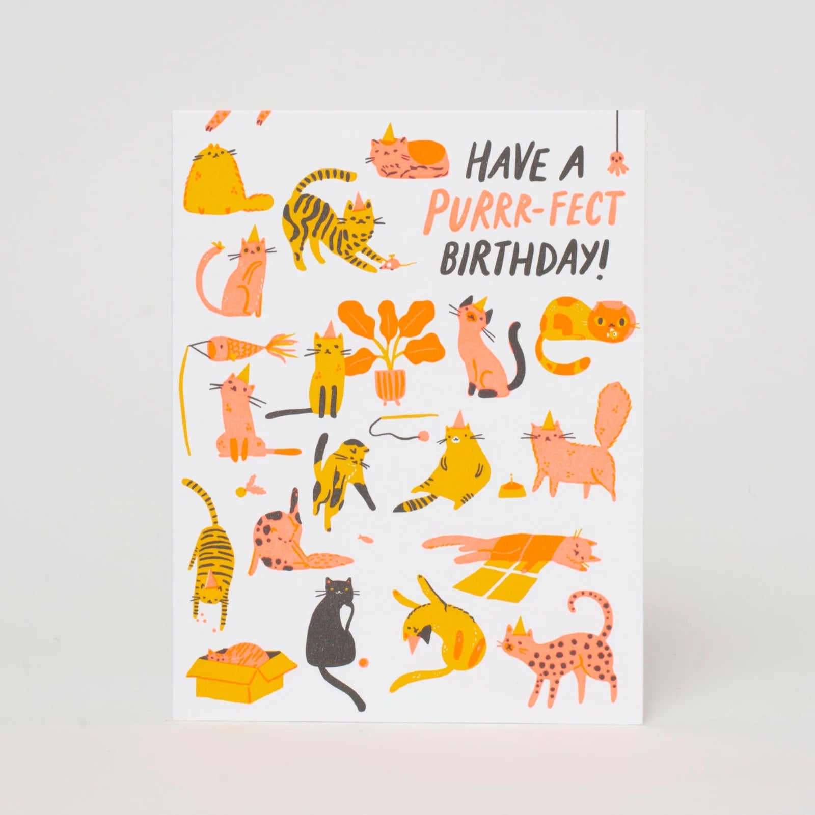 Birthday Purr-Fect Cats