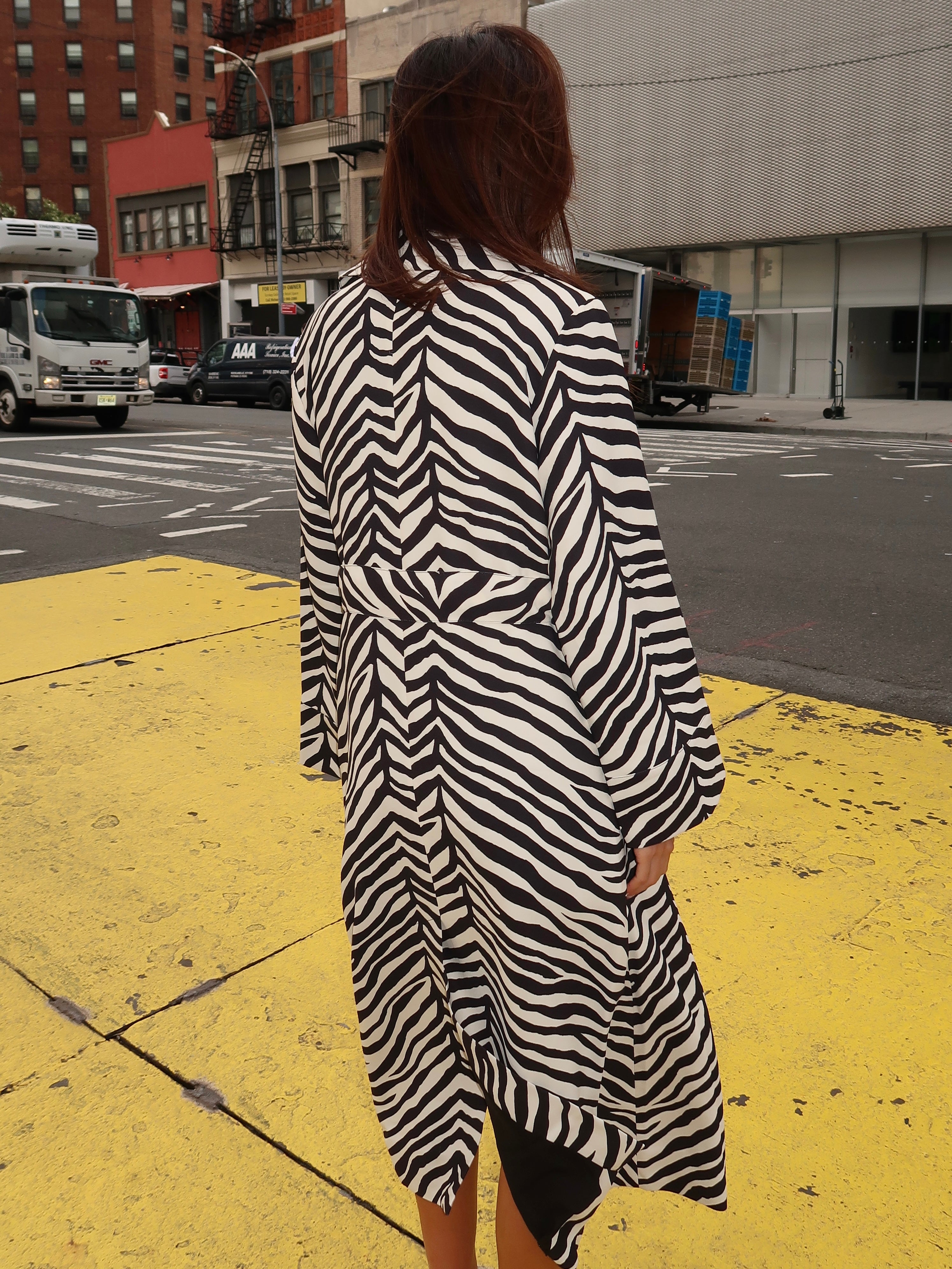 Djinn Crepe Robe Coat in Zebra Print