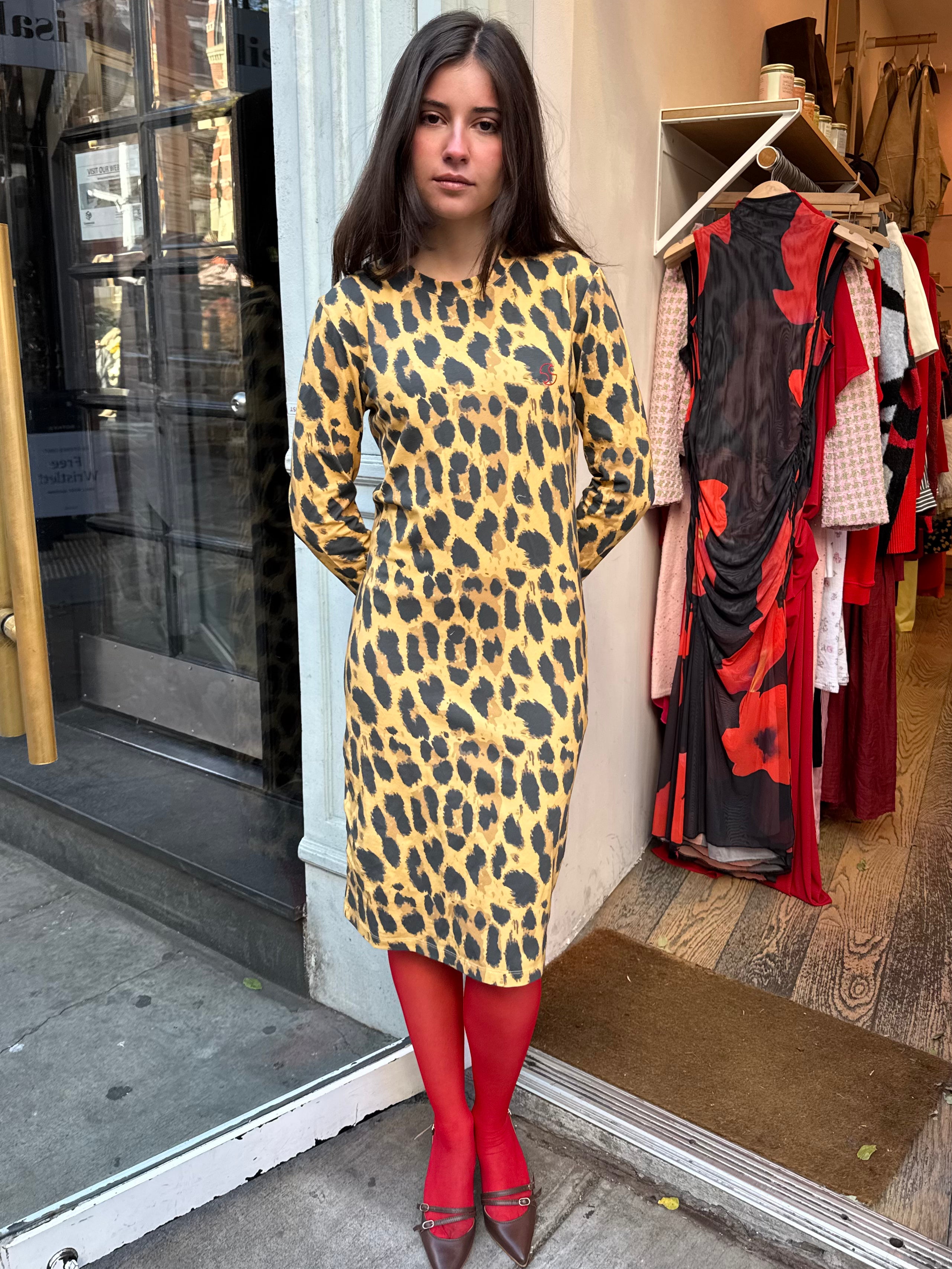 Dree Dress in Print