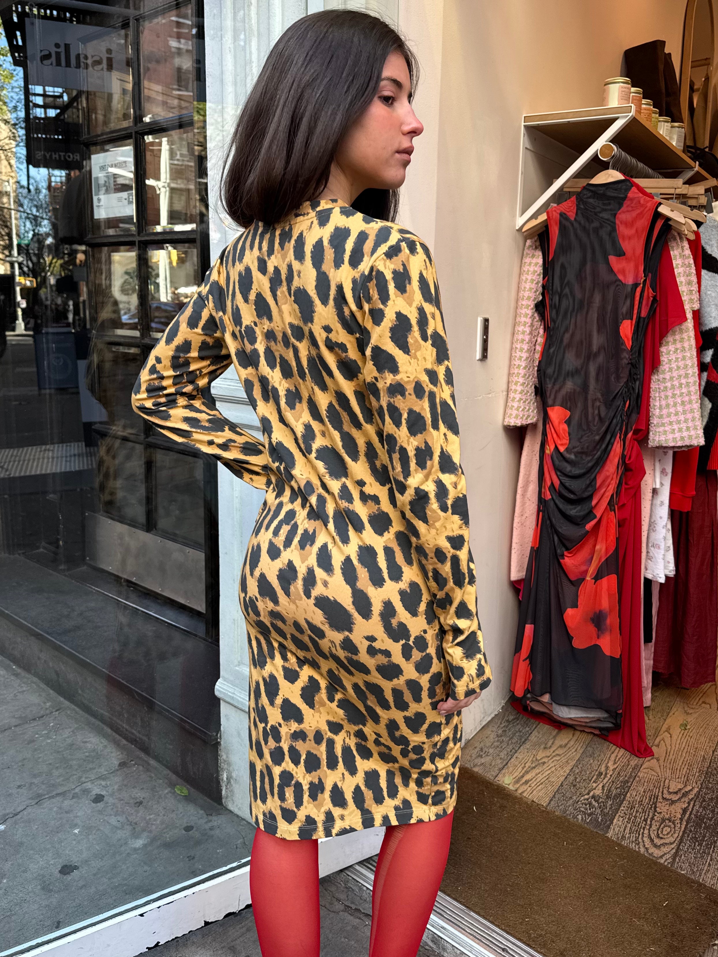 Dree Dress in Print