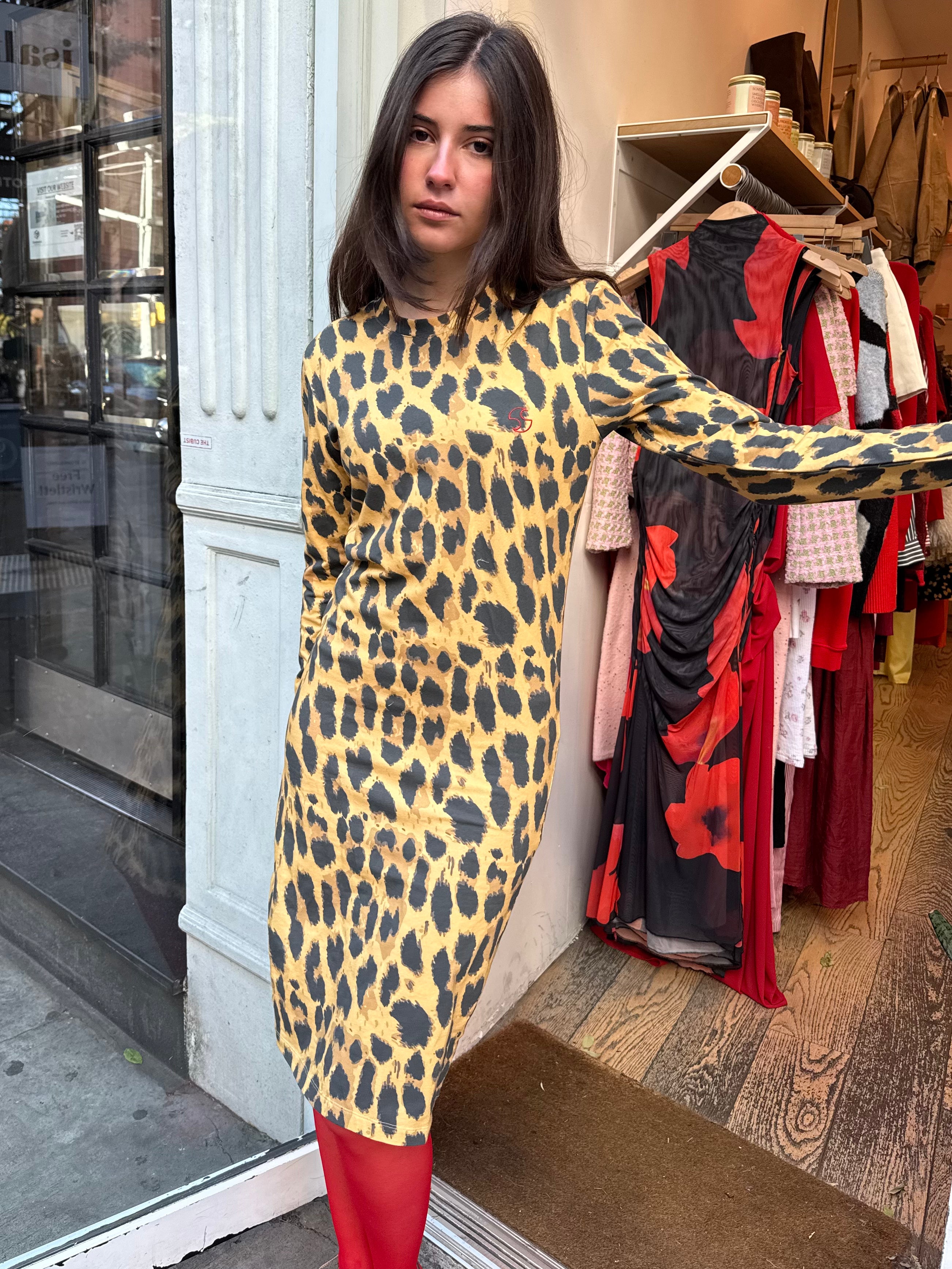 Dree Dress in Print