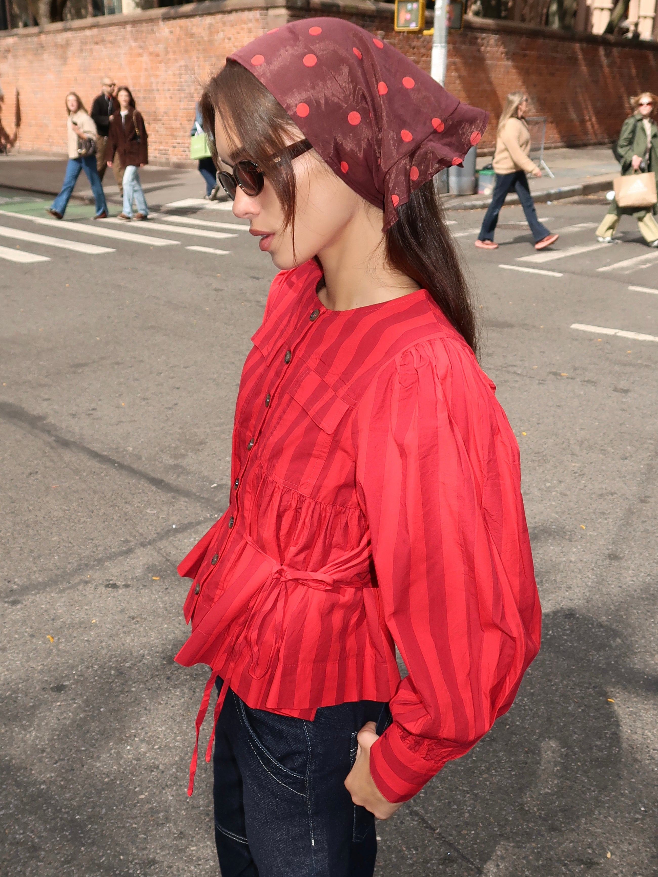 Charlize Blouse in Red Burg Stripe