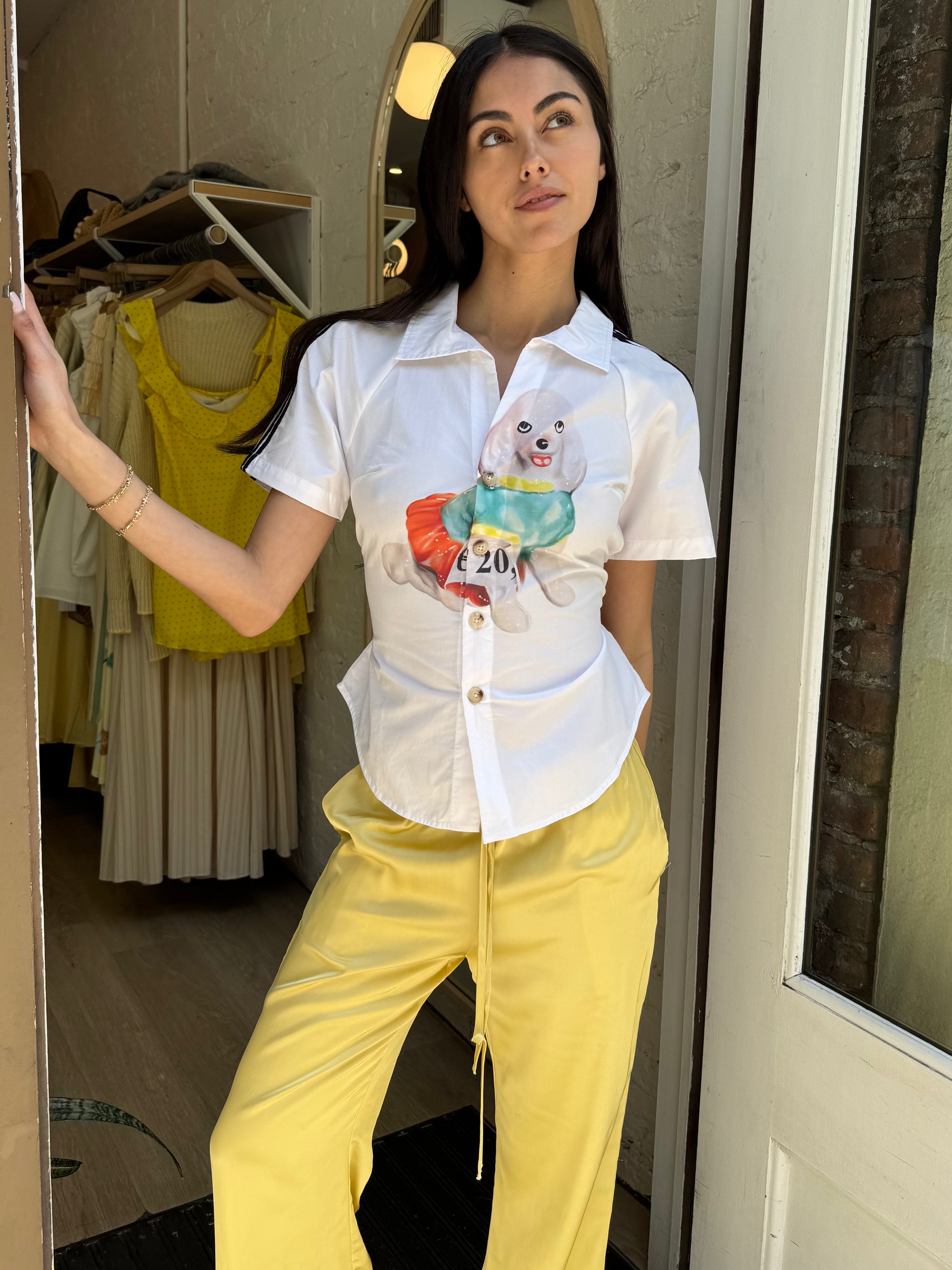 Raglan Shirt in Fancy Poodle