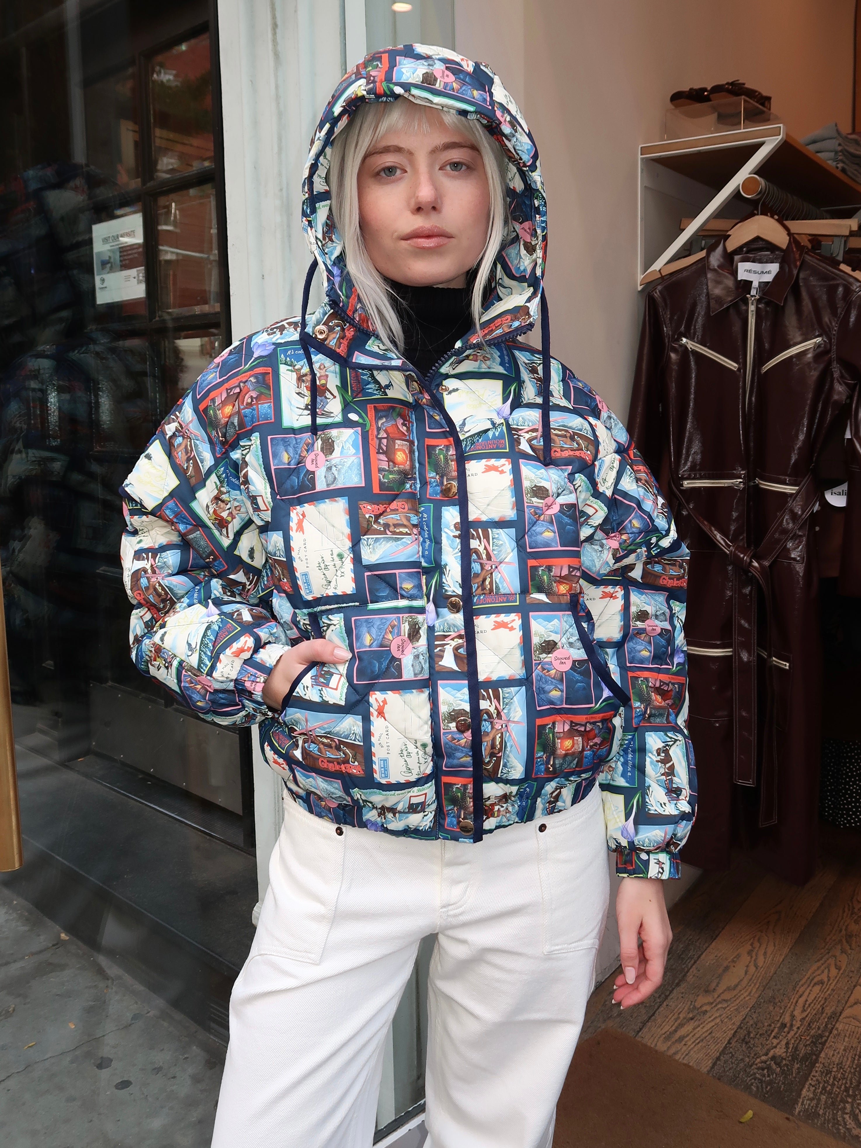 Ace Puffer in Chalet Postcards