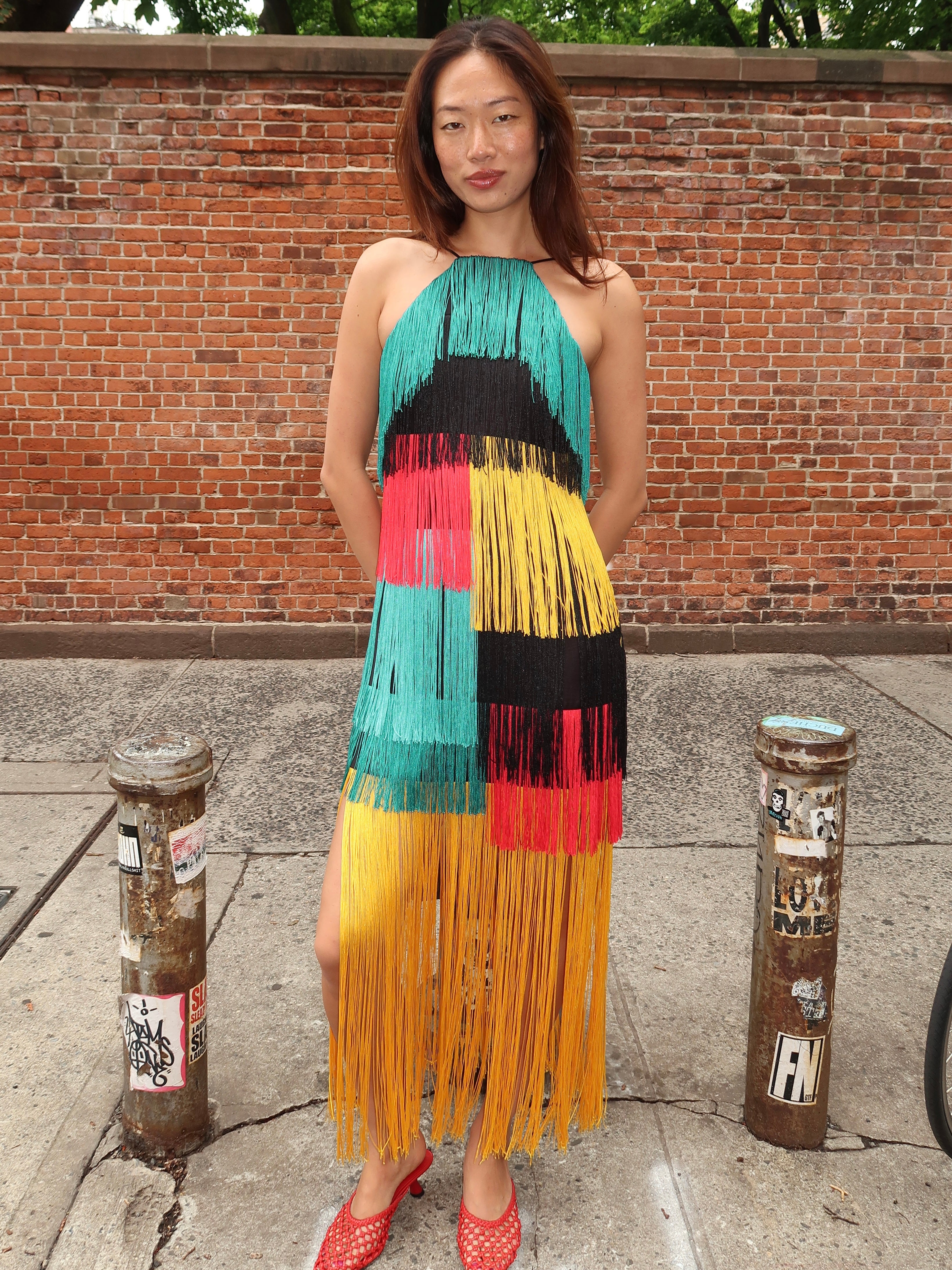 Drea Fringe Dress in Vibrant Multi Fringe