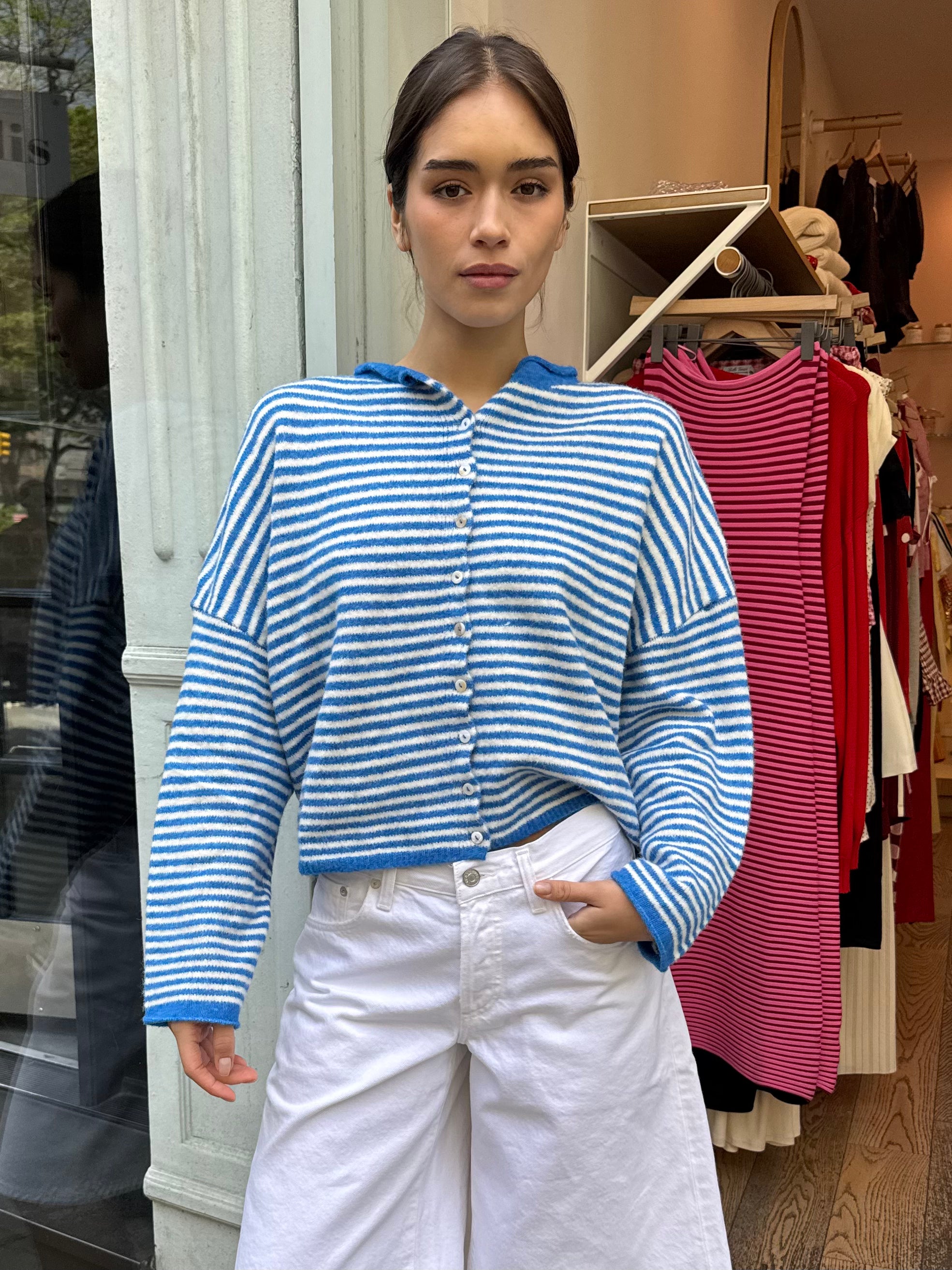 Pisces Button Down Cardigan in Mini Blue Stripe