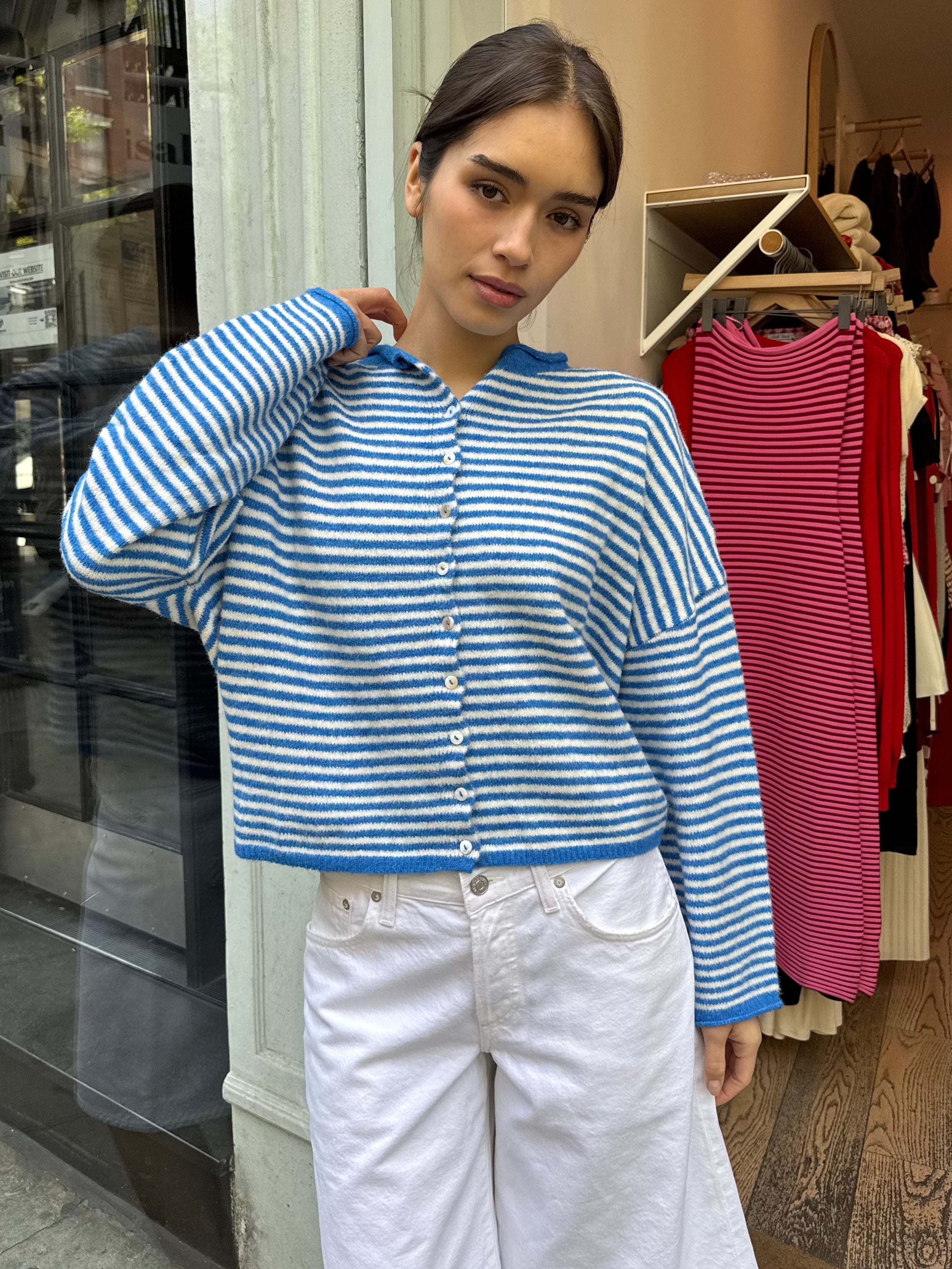 Pisces Button Down Cardigan in Mini Blue Stripe