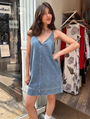Tavi Pop Over Dress in Palms