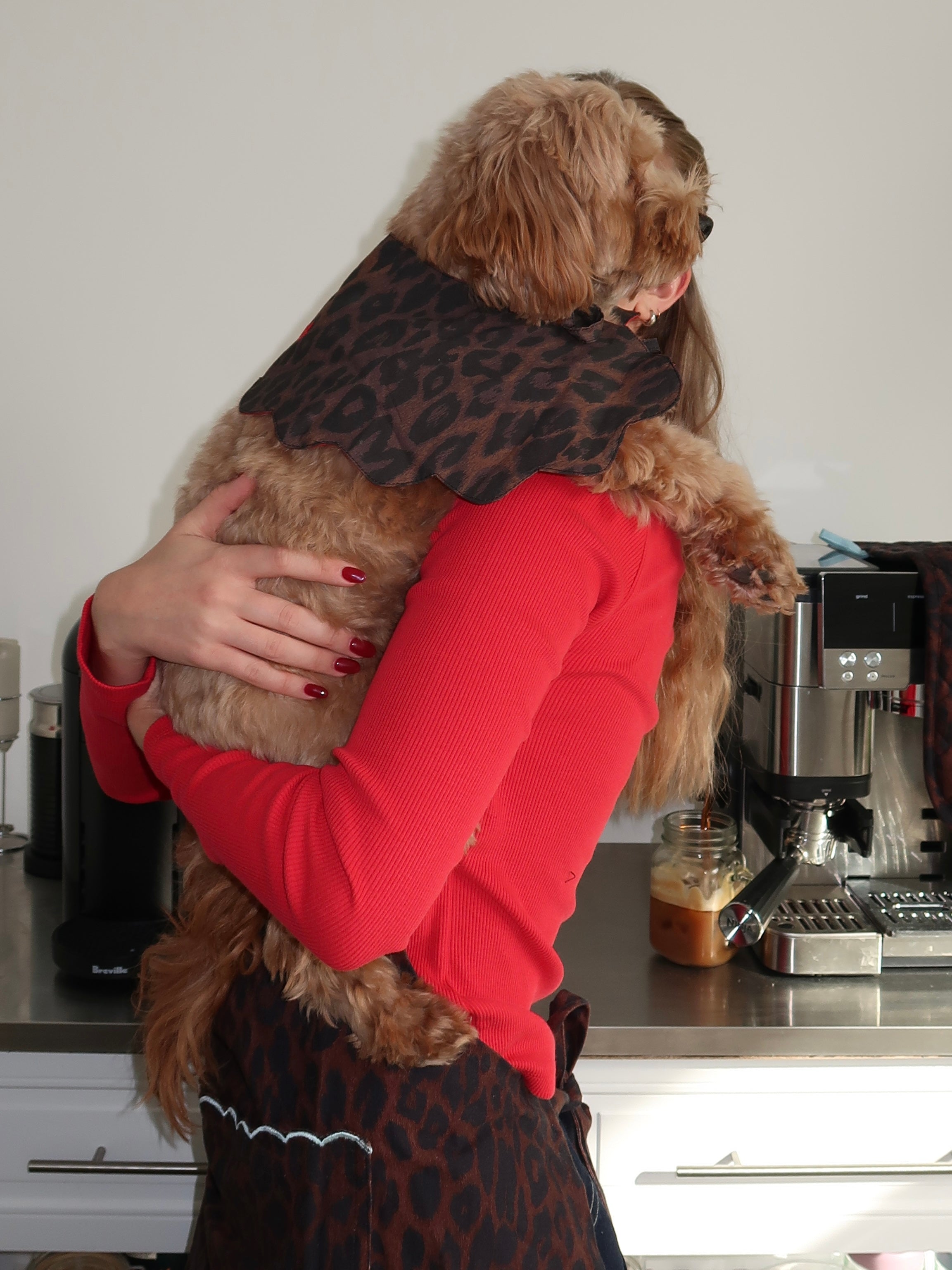 Novelty Wastage Collar in Dark Leopard