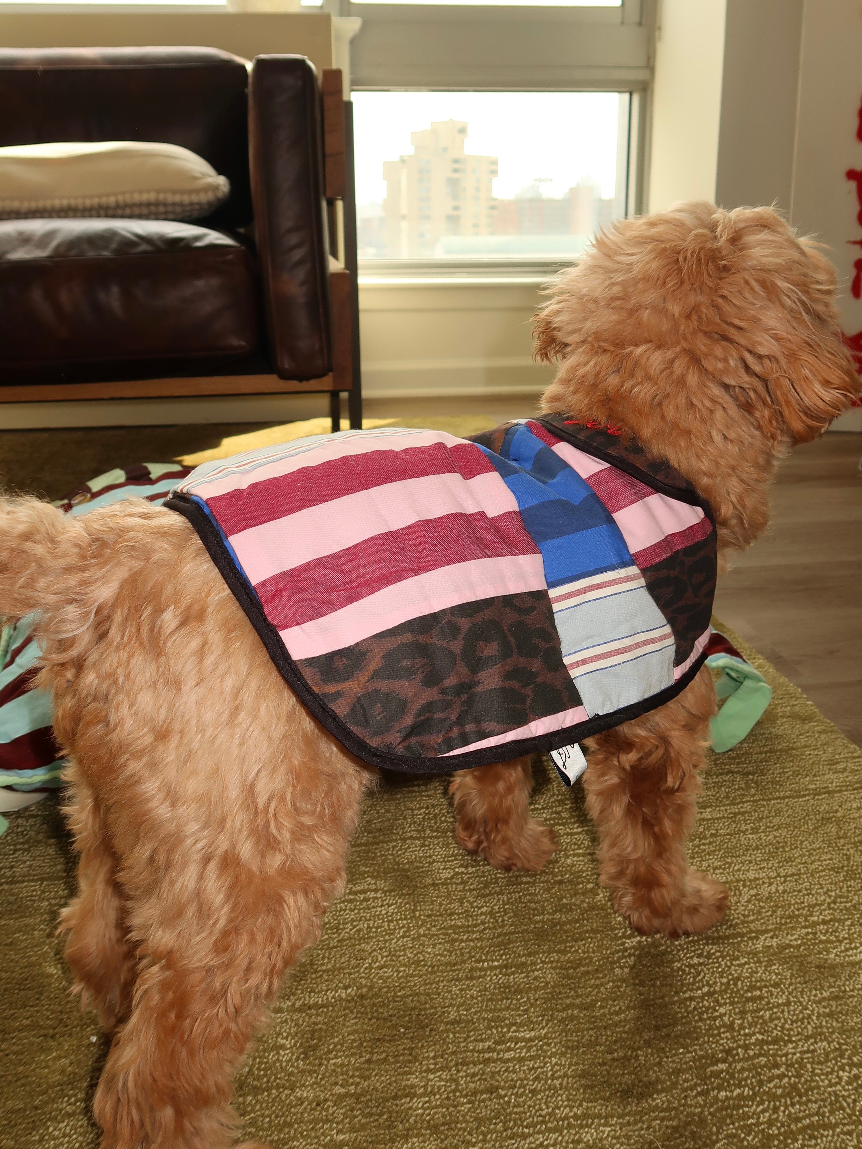 Dog Coat in Patchwork