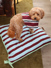 Pet Bed in Multi Stripe