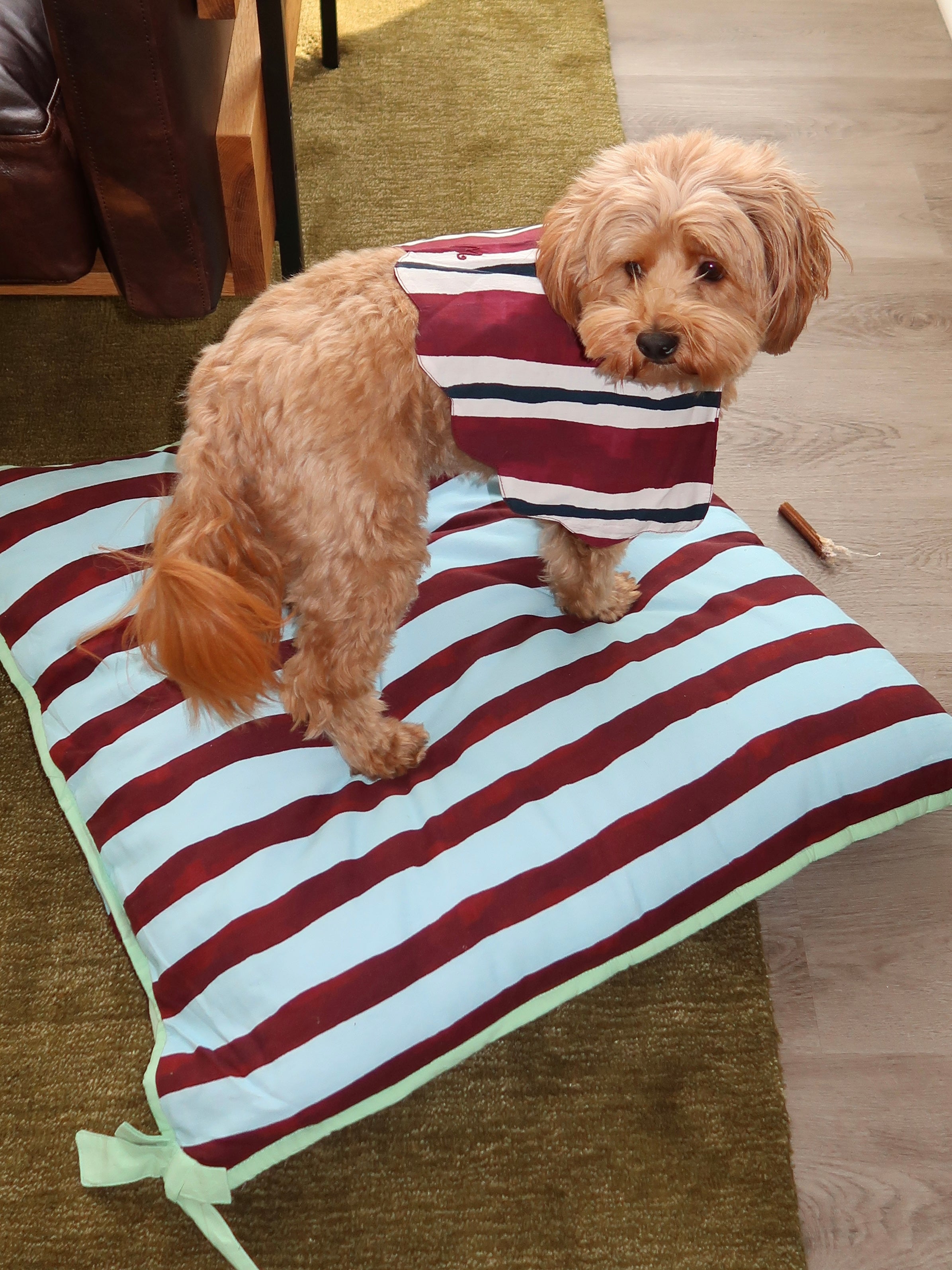 Pet Bed in Multi Stripe