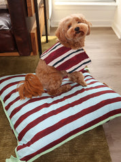 Pet Bed in Multi Stripe