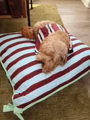 Pet Bed in Multi Stripe
