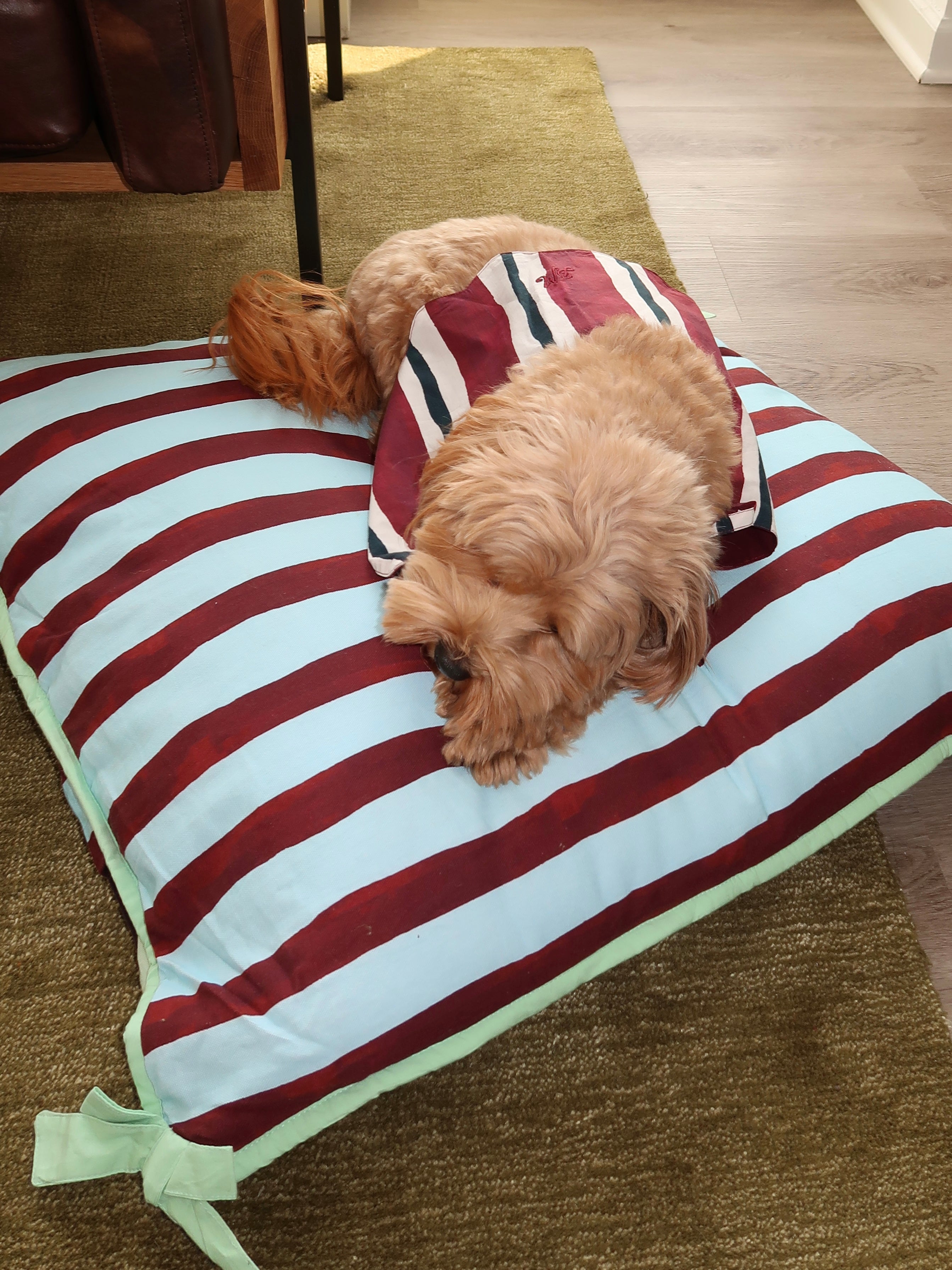 Pet Bed in Multi Stripe