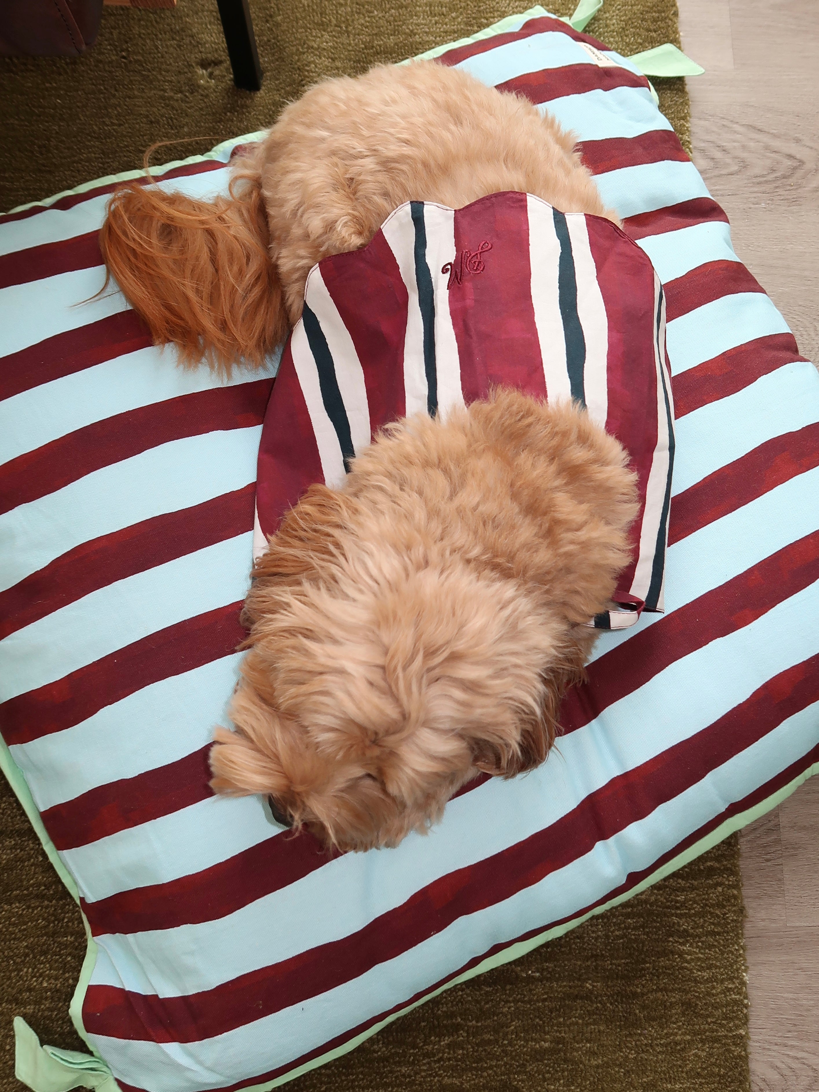 Pet Bed in Multi Stripe