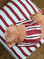 Novelty Wastage Collar in Burg Stripe