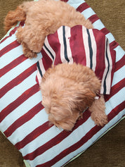 Novelty Wastage Collar in Burg Stripe