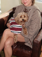 Novelty Wastage Collar in Burg Stripe