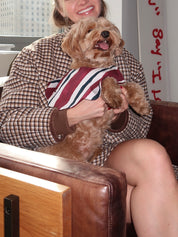 Novelty Wastage Collar in Burg Stripe