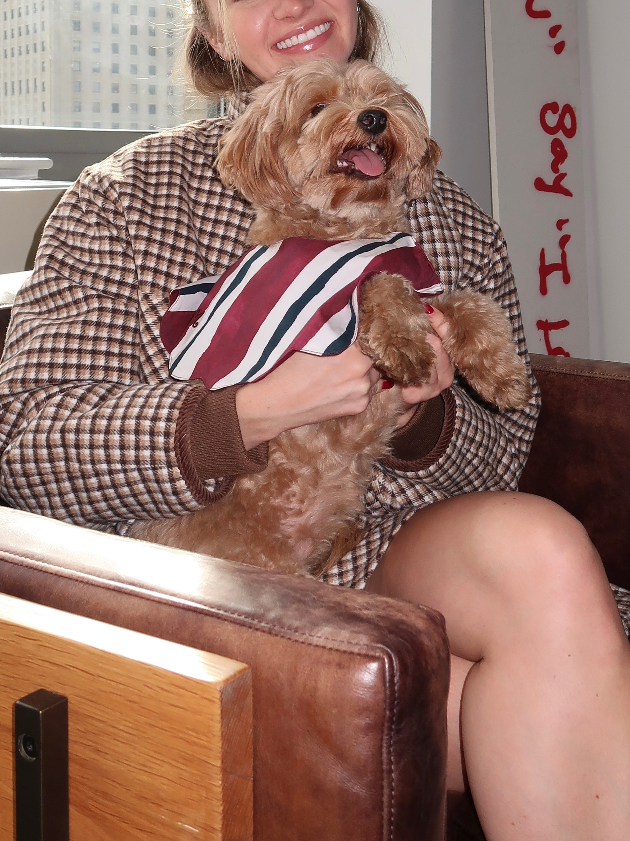 Novelty Wastage Collar in Burg Stripe