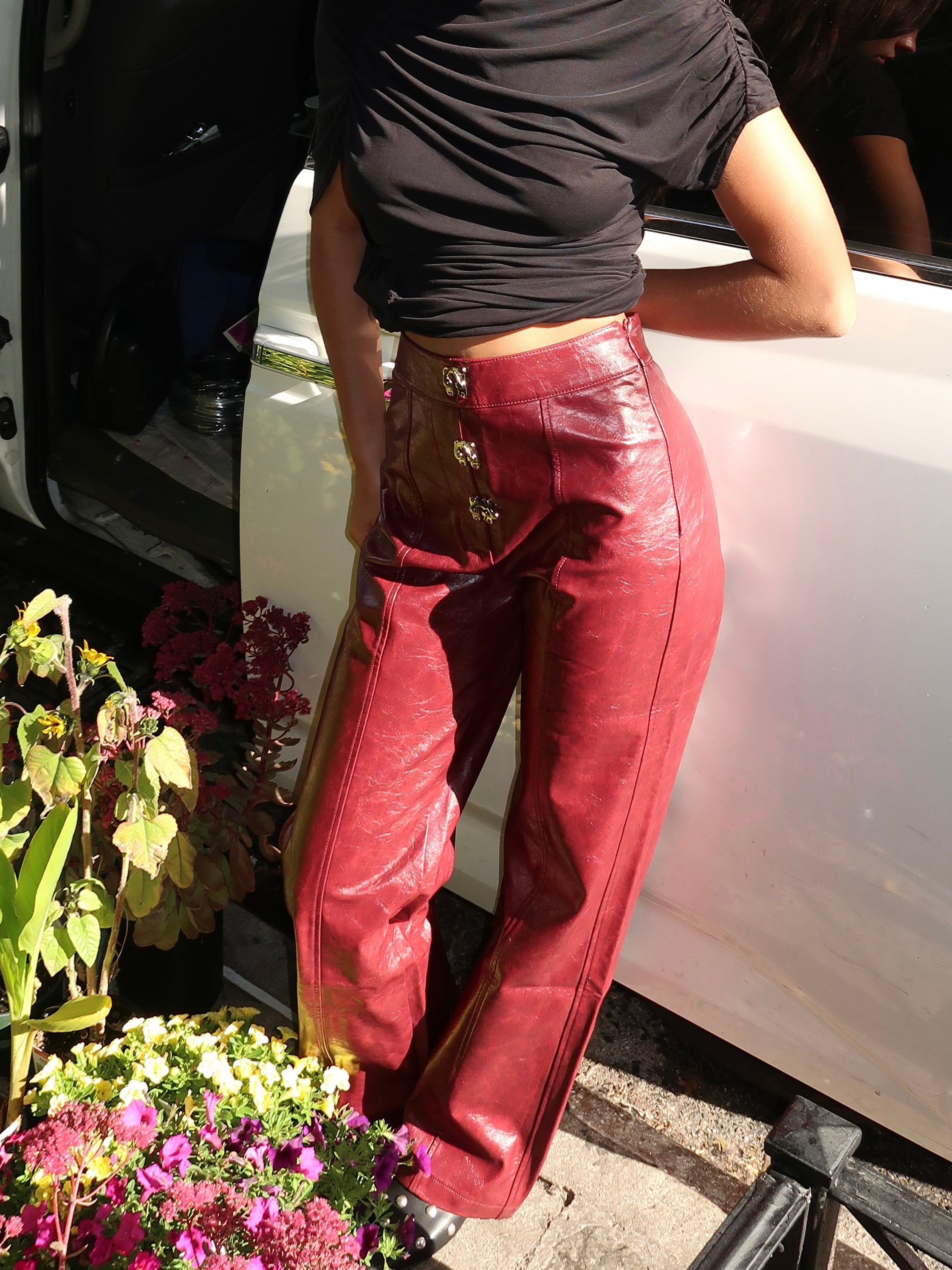 Ronnie Burgundy Pants