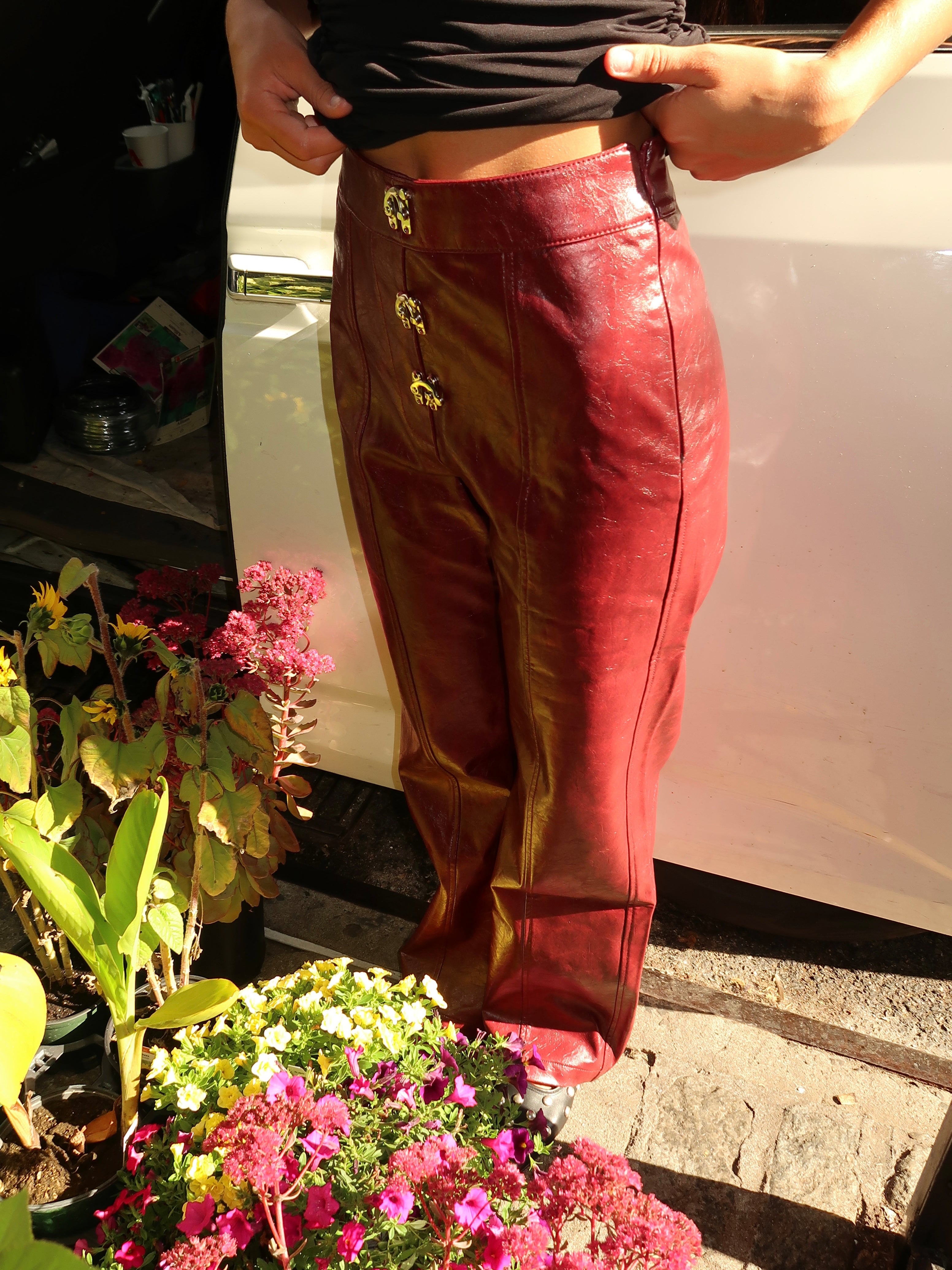 Ronnie Burgundy Pants