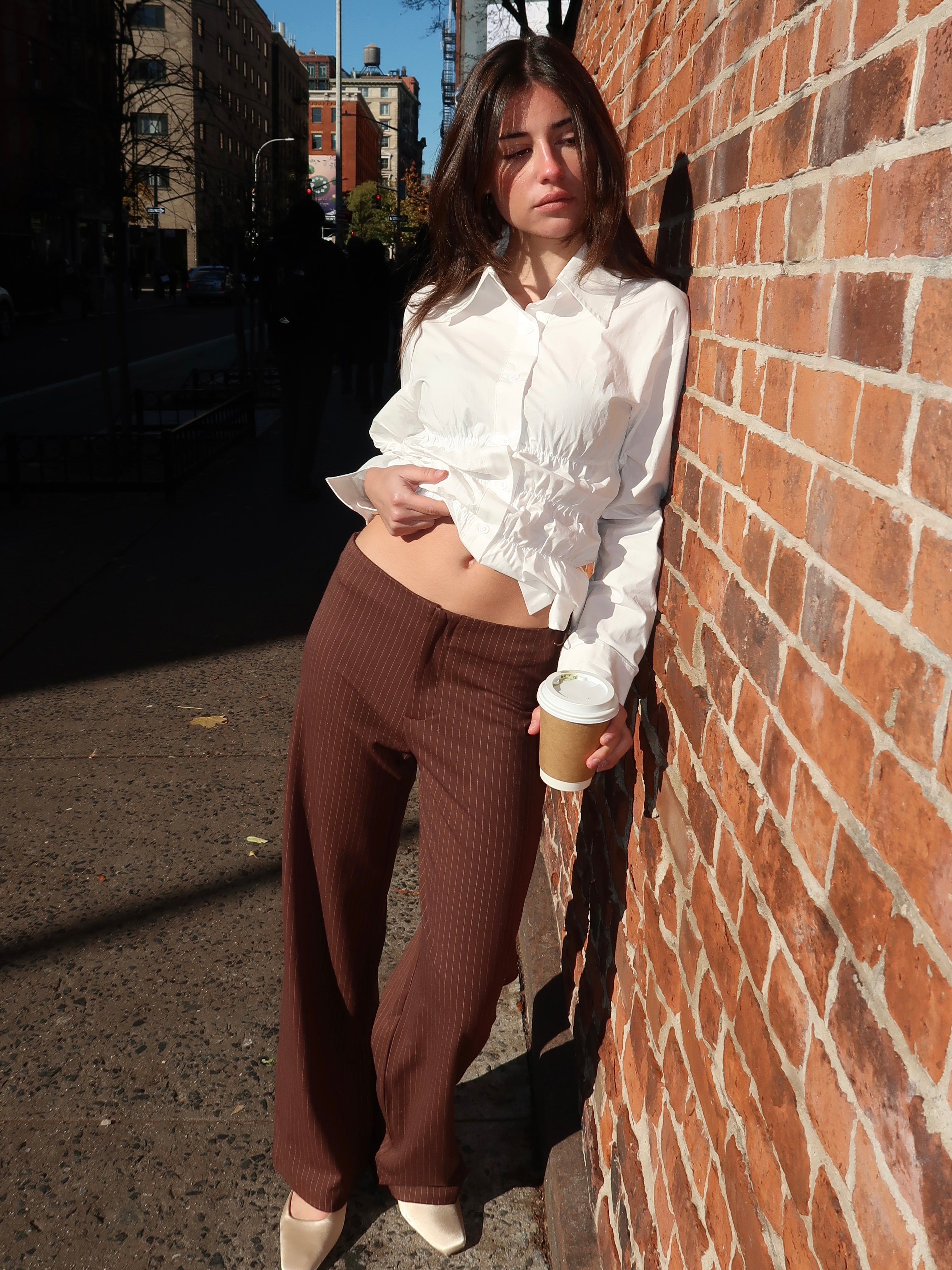 Yolanda Striped Low Rise Pants in Brown