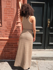 Aliki Dress in Multicolor Stripe