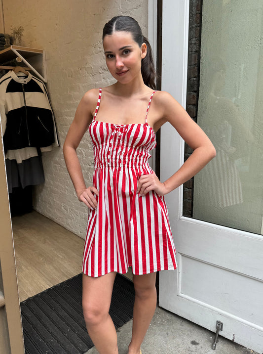 Alboa Mini Dress in Bayou Stripe Red