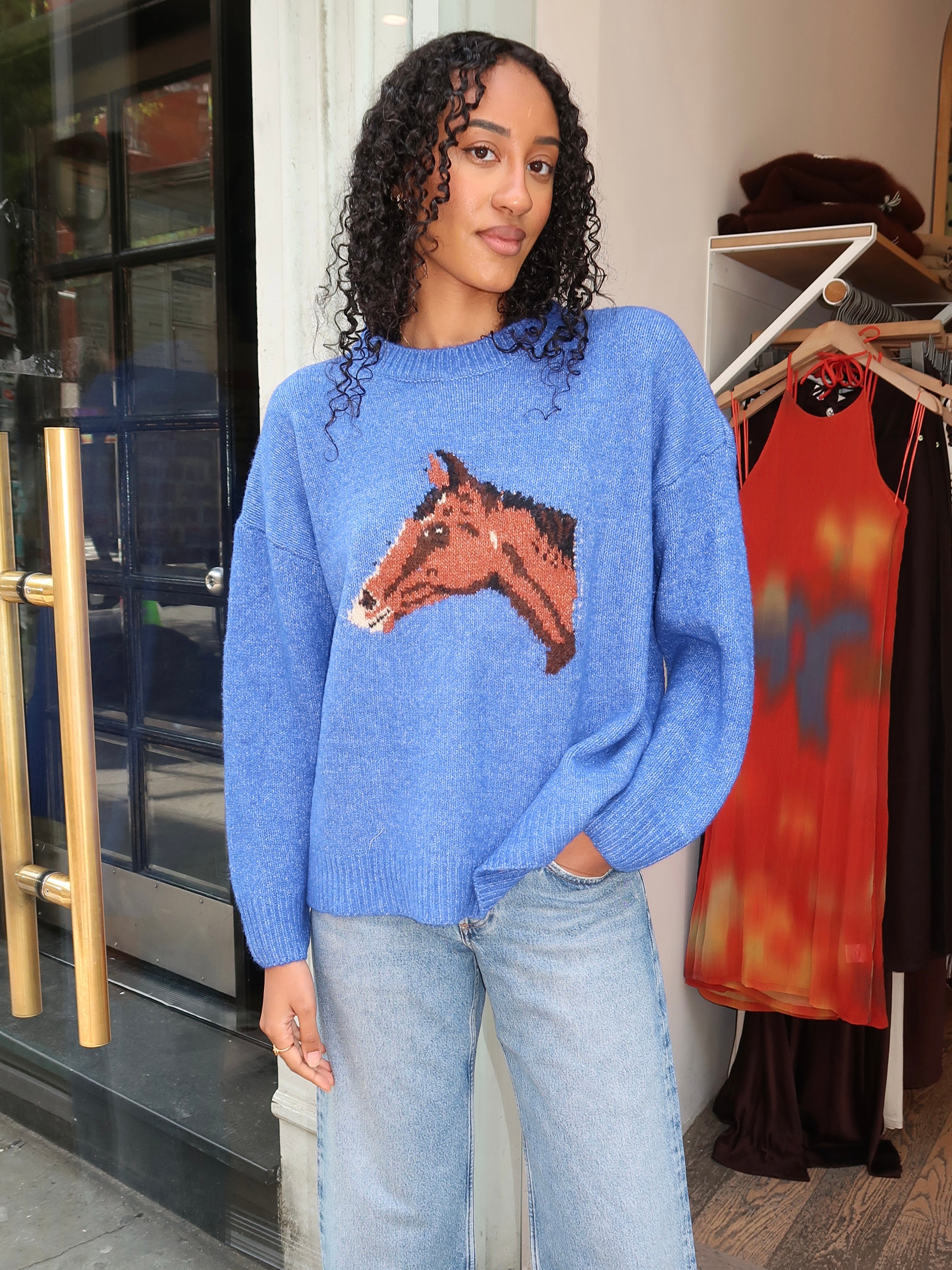 Wynie Horse Sweater in Blue