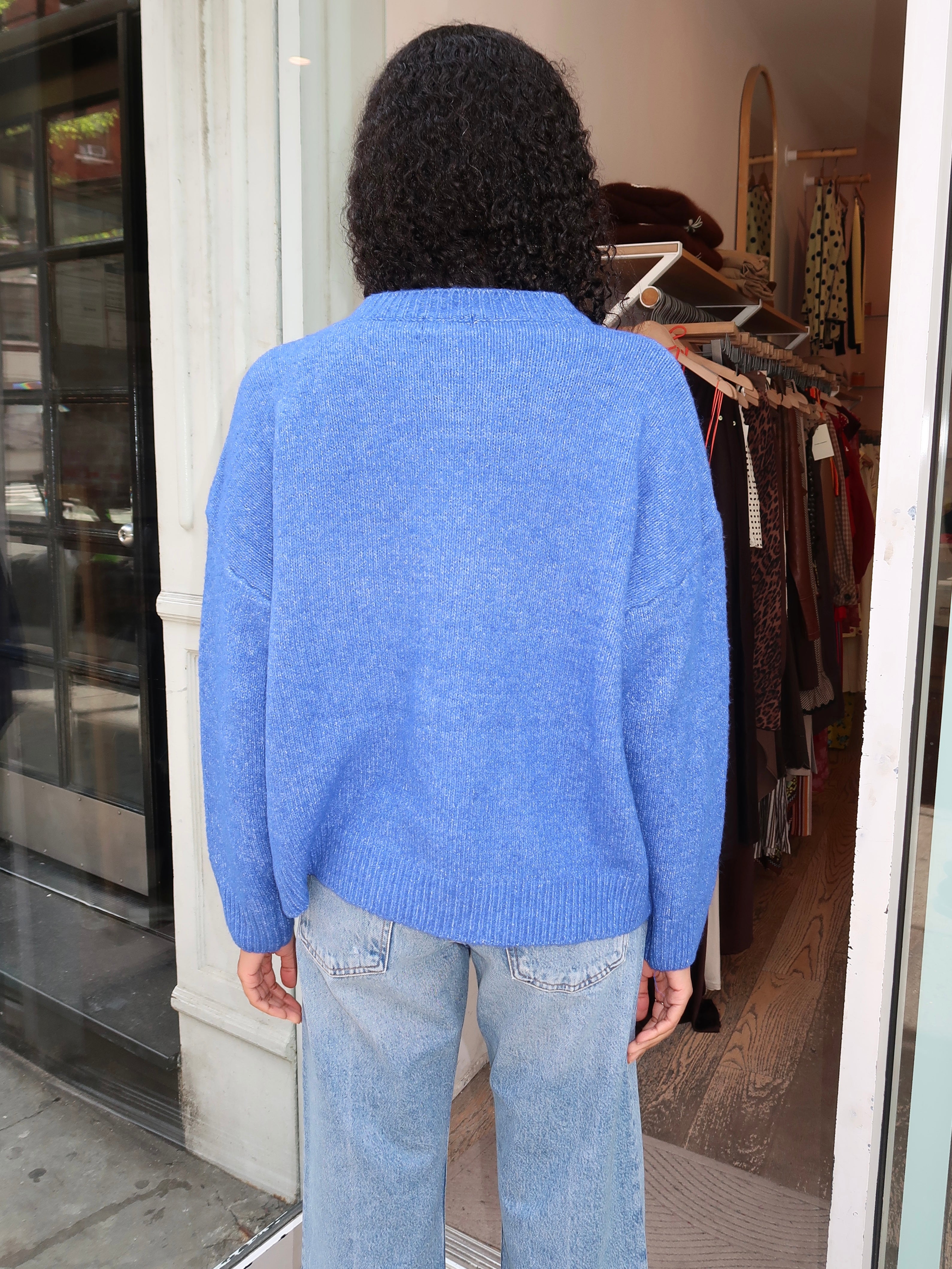Wynie Horse Sweater in Blue