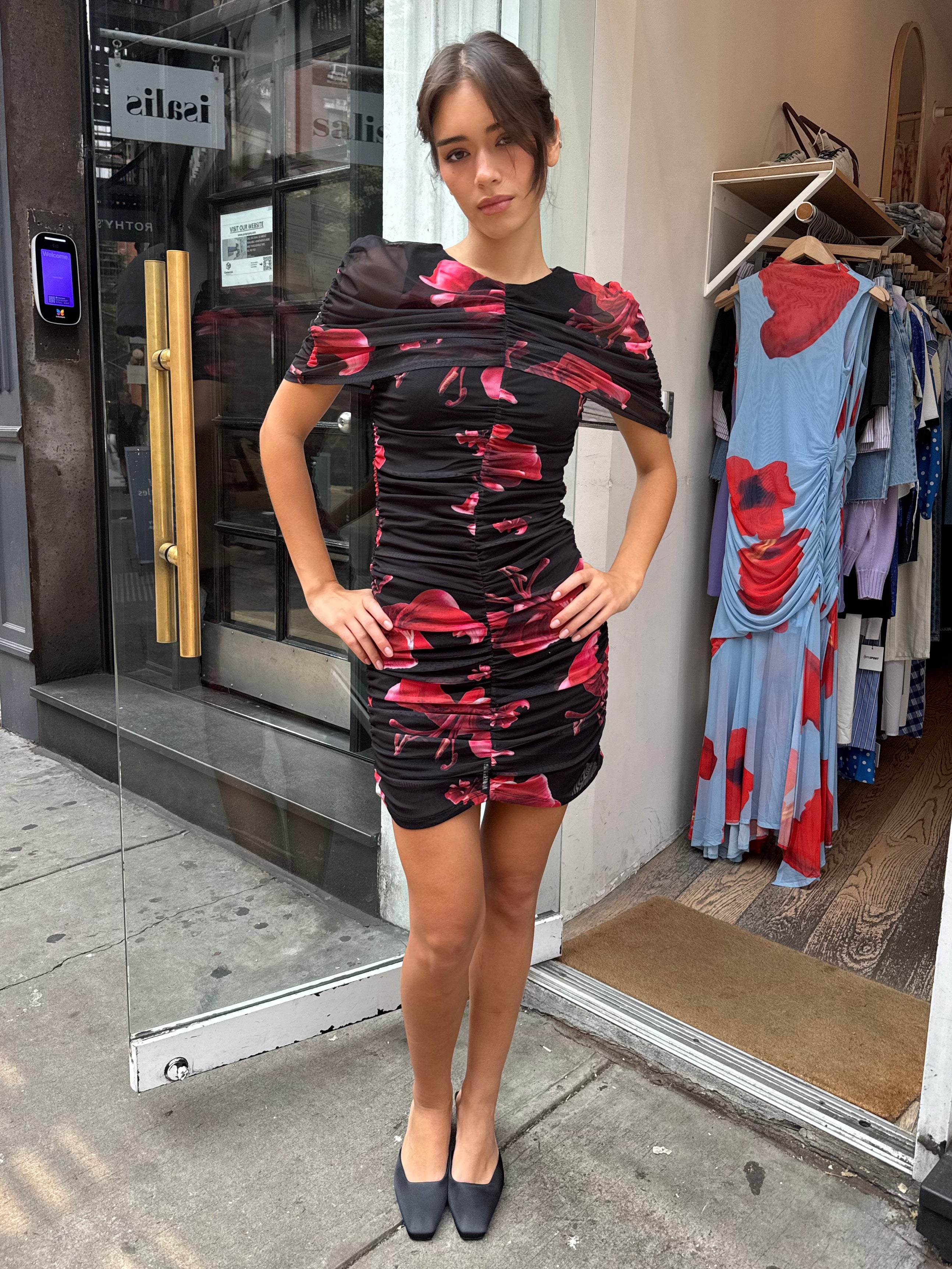 Lily Mesh Dress in Red