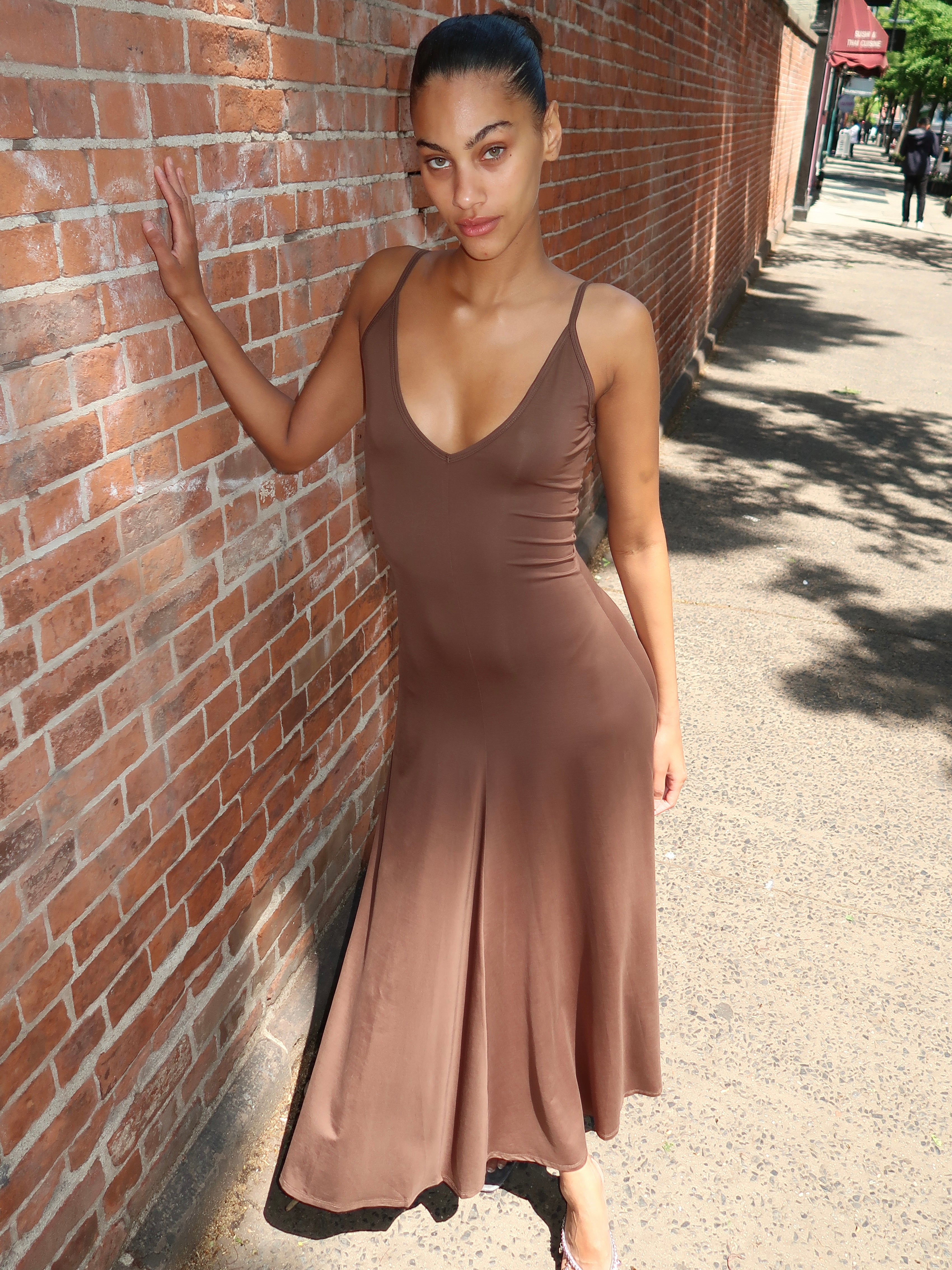 Rumi Dress in Brown
