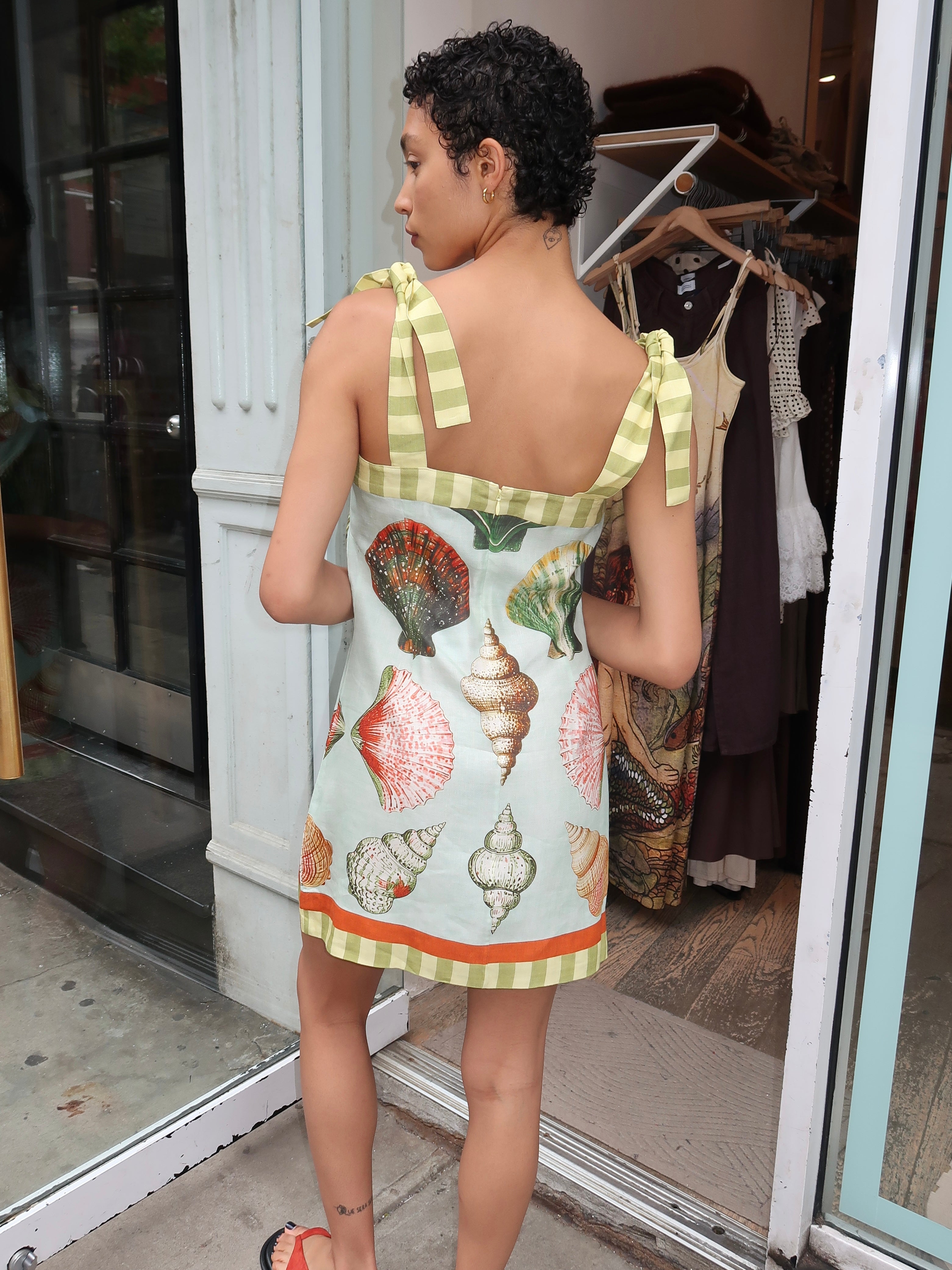 Alba Dress in Somers Shell Mint