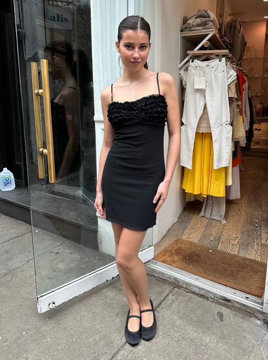 Agatha Mesh Ruffle Mini Dress in Black