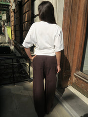 Theo Drawstring Poplin Pant in Hot Toddy