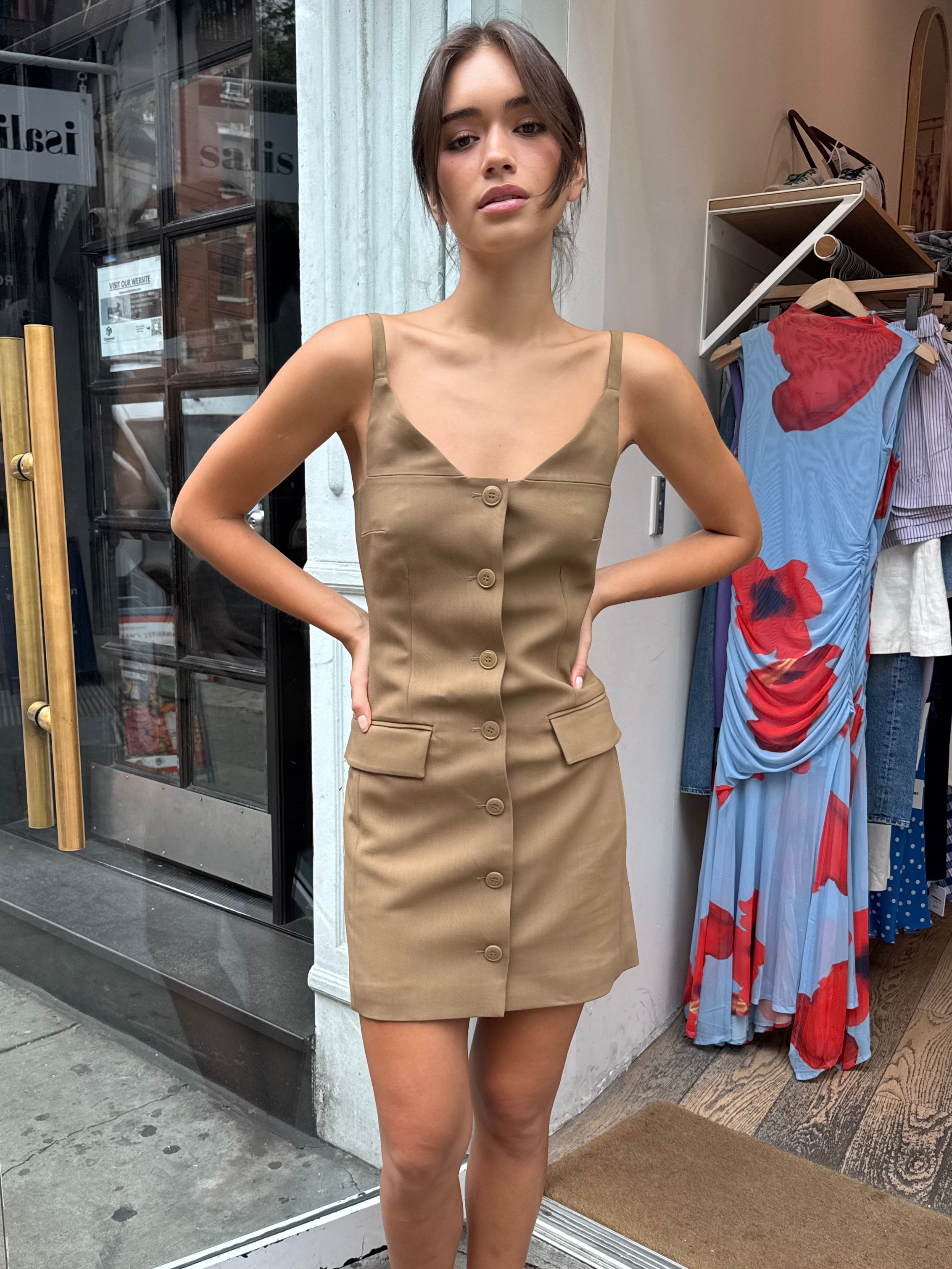 Peitho Dress in Brown