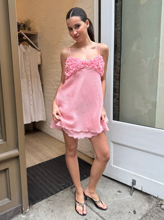 Anturio Dress in Pink